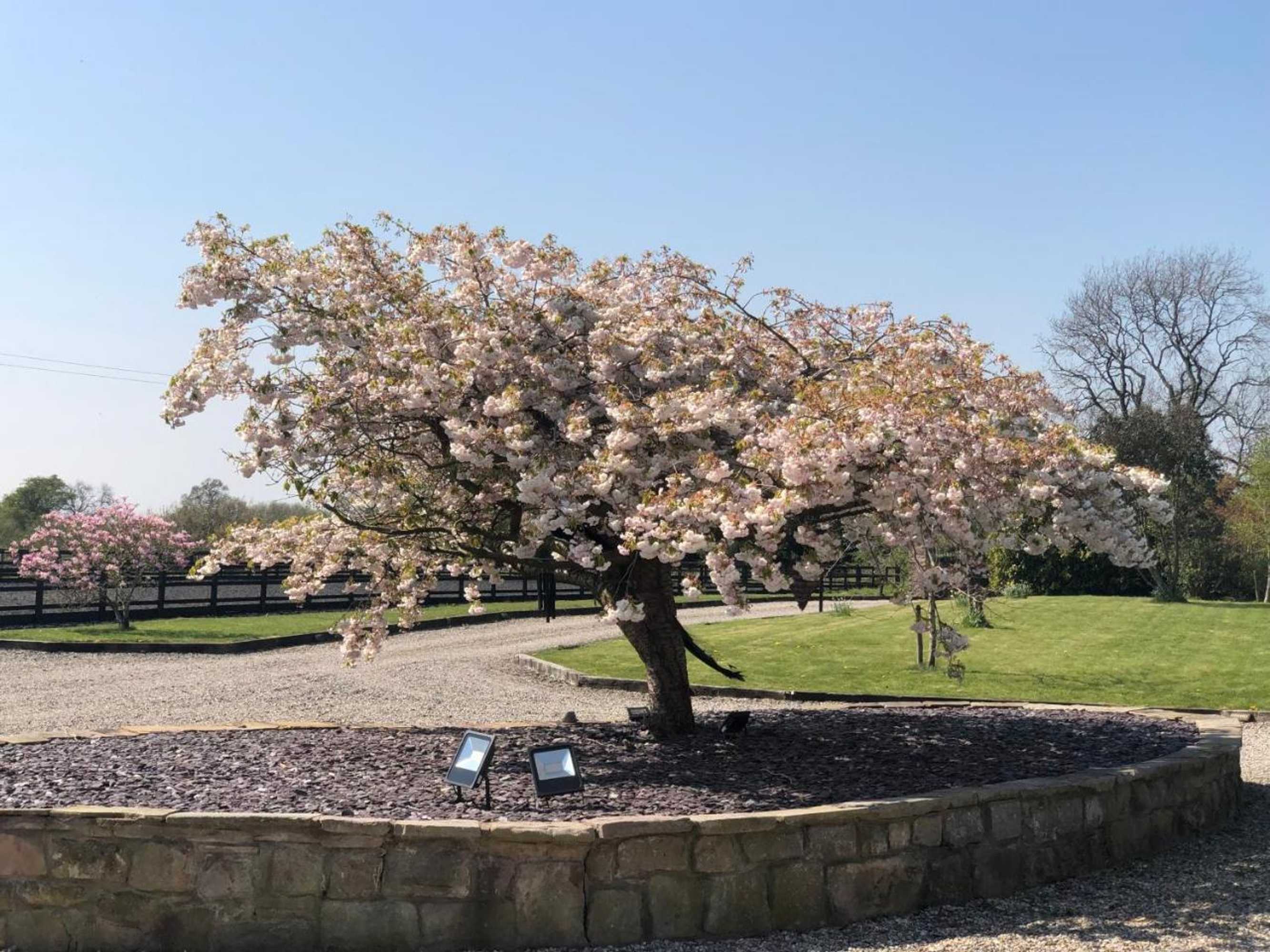 Gift card for The Saddlery Cheshire