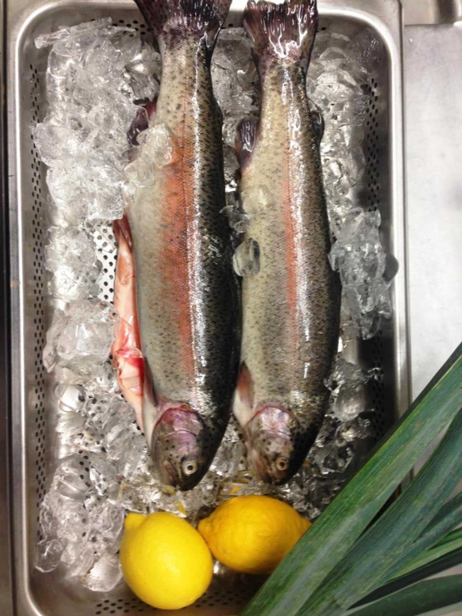 Gift card for Landhotel Hirschen