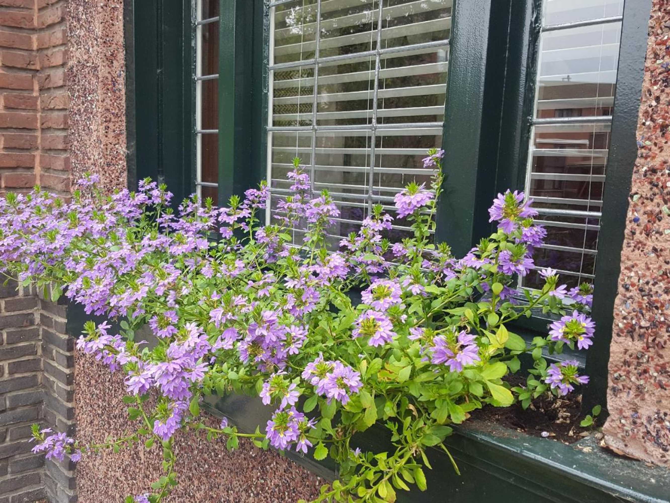 Gift card for Vakantiewoning Guesthouse Momo