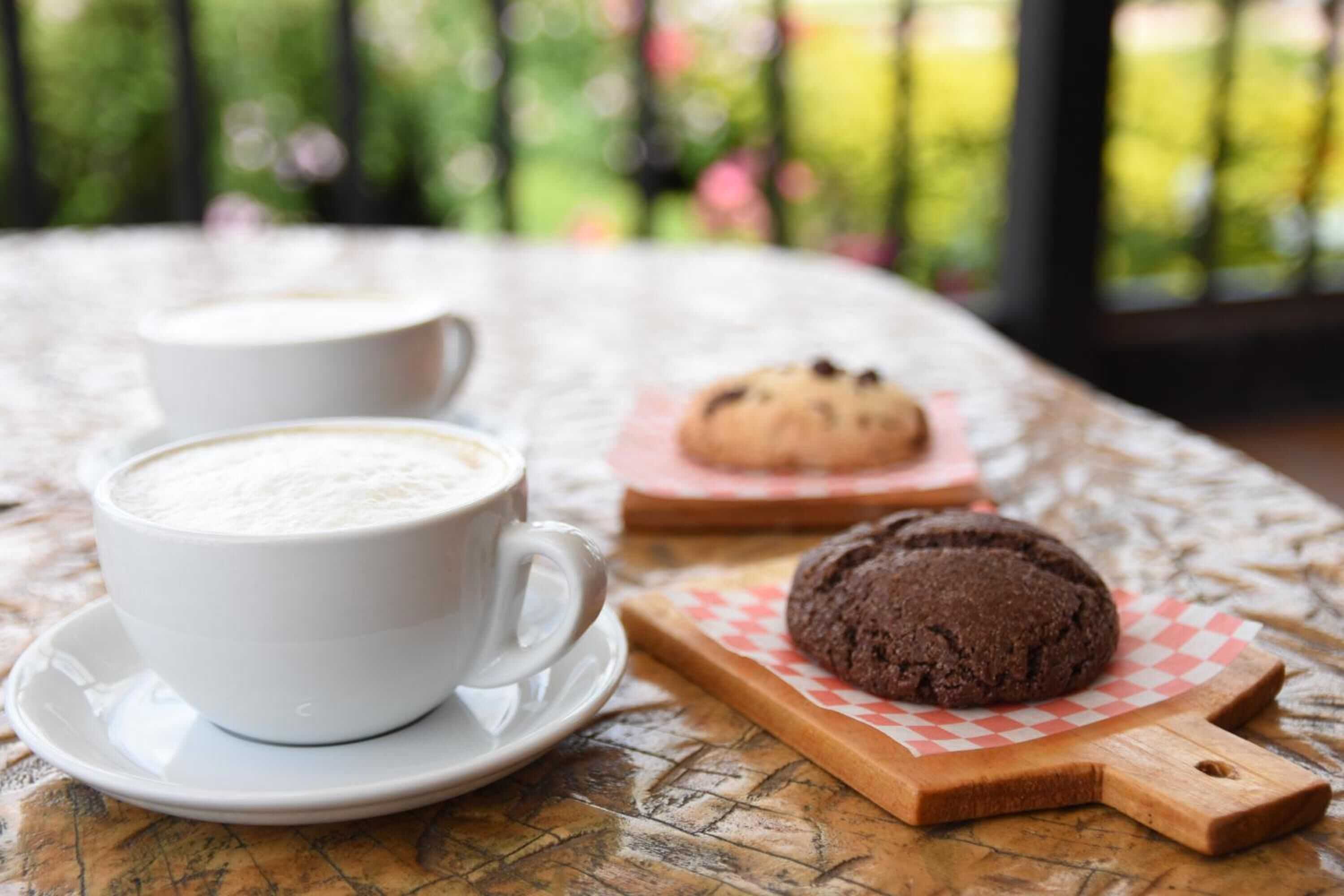 Gift card for Hotel Casa Chapultepec - Hostel