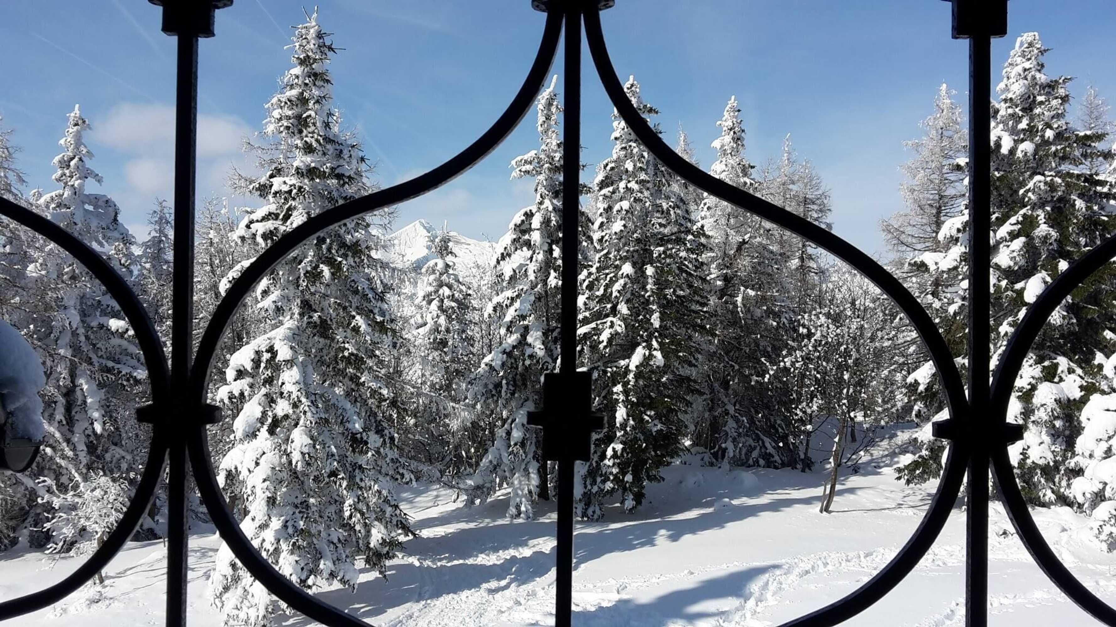 Gift card for Chalet Pehta - Velika Planina