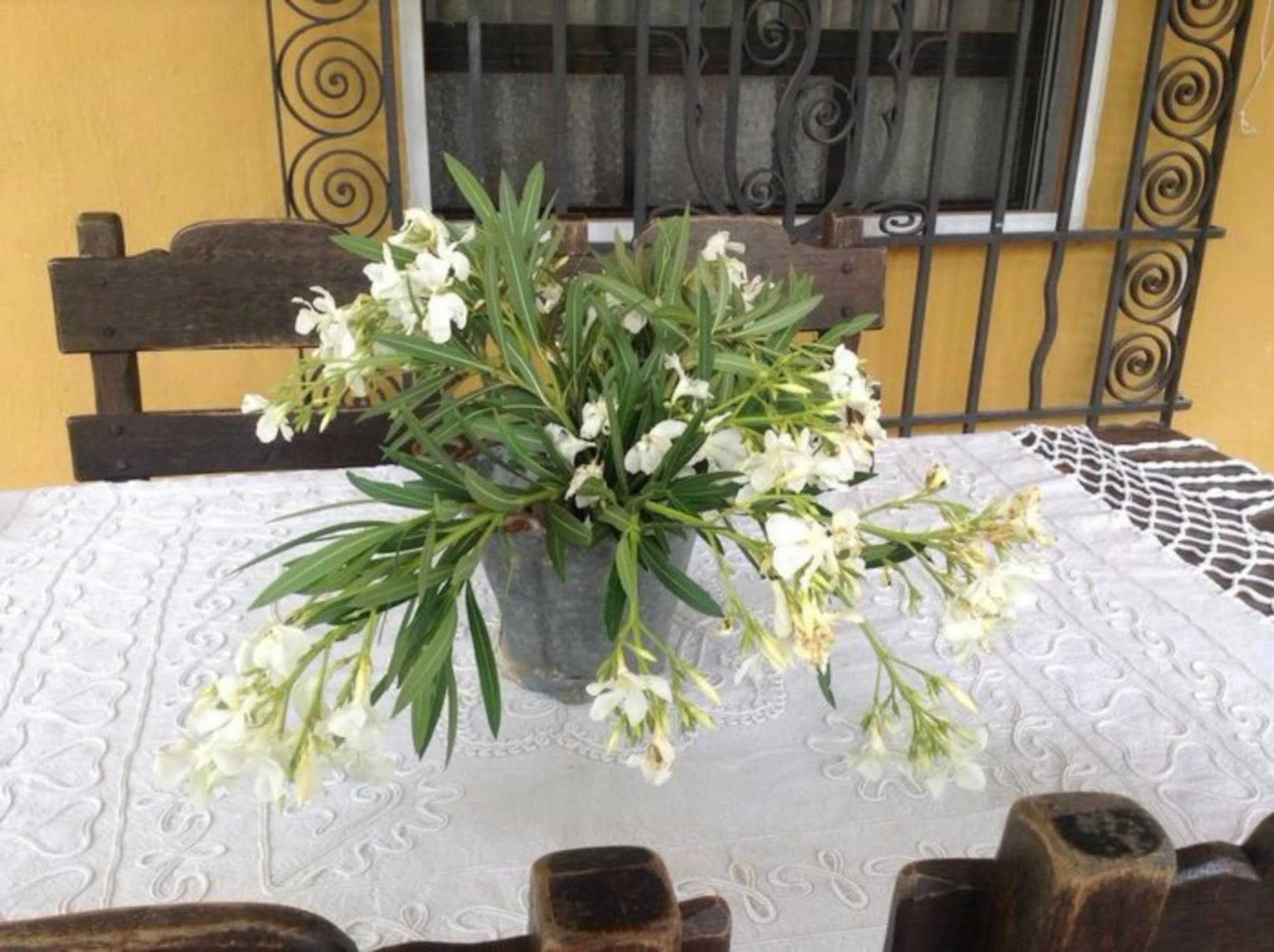 Gift card for Casa Rural LO Soto