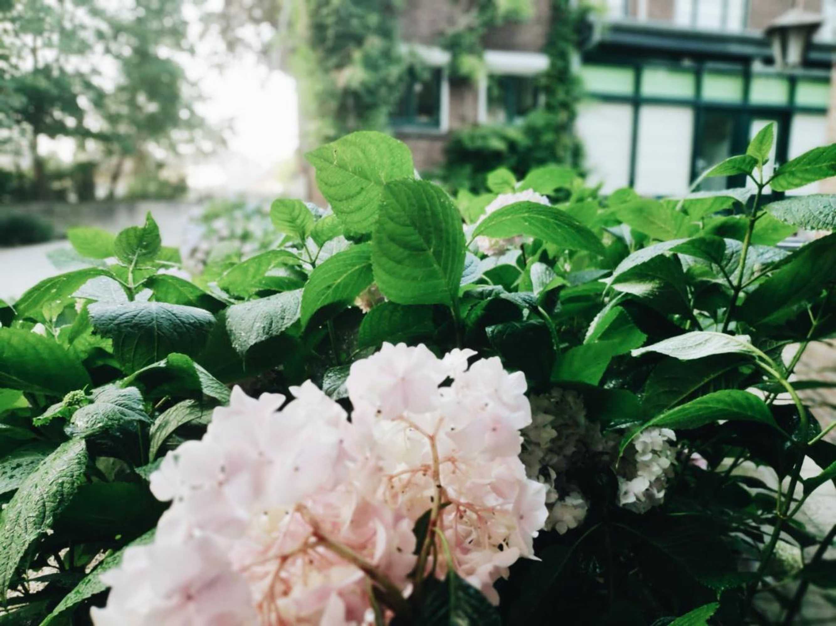 Gift card for Vakantiewoning Guesthouse Momo