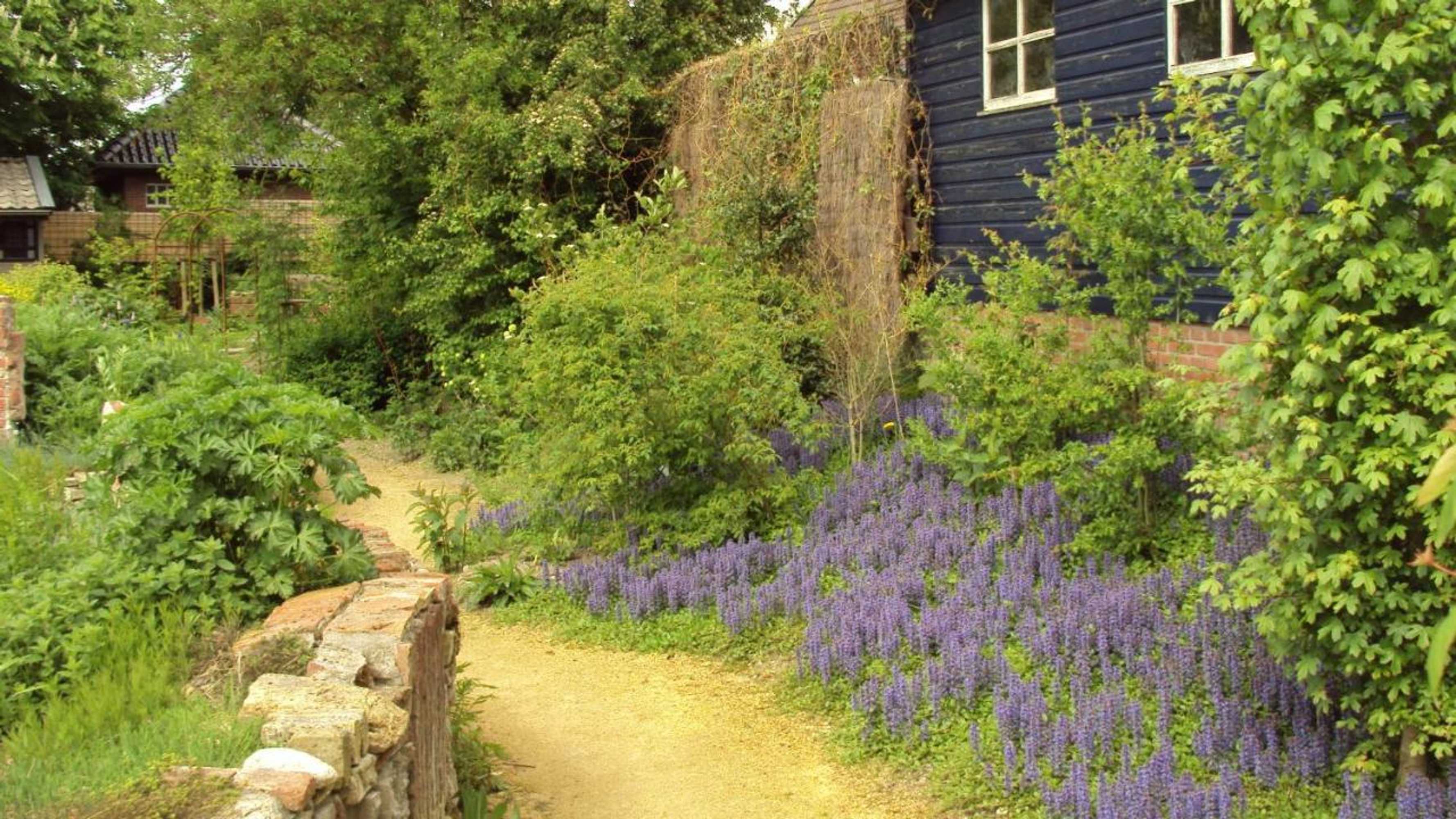 Gift card for De Witte Klok