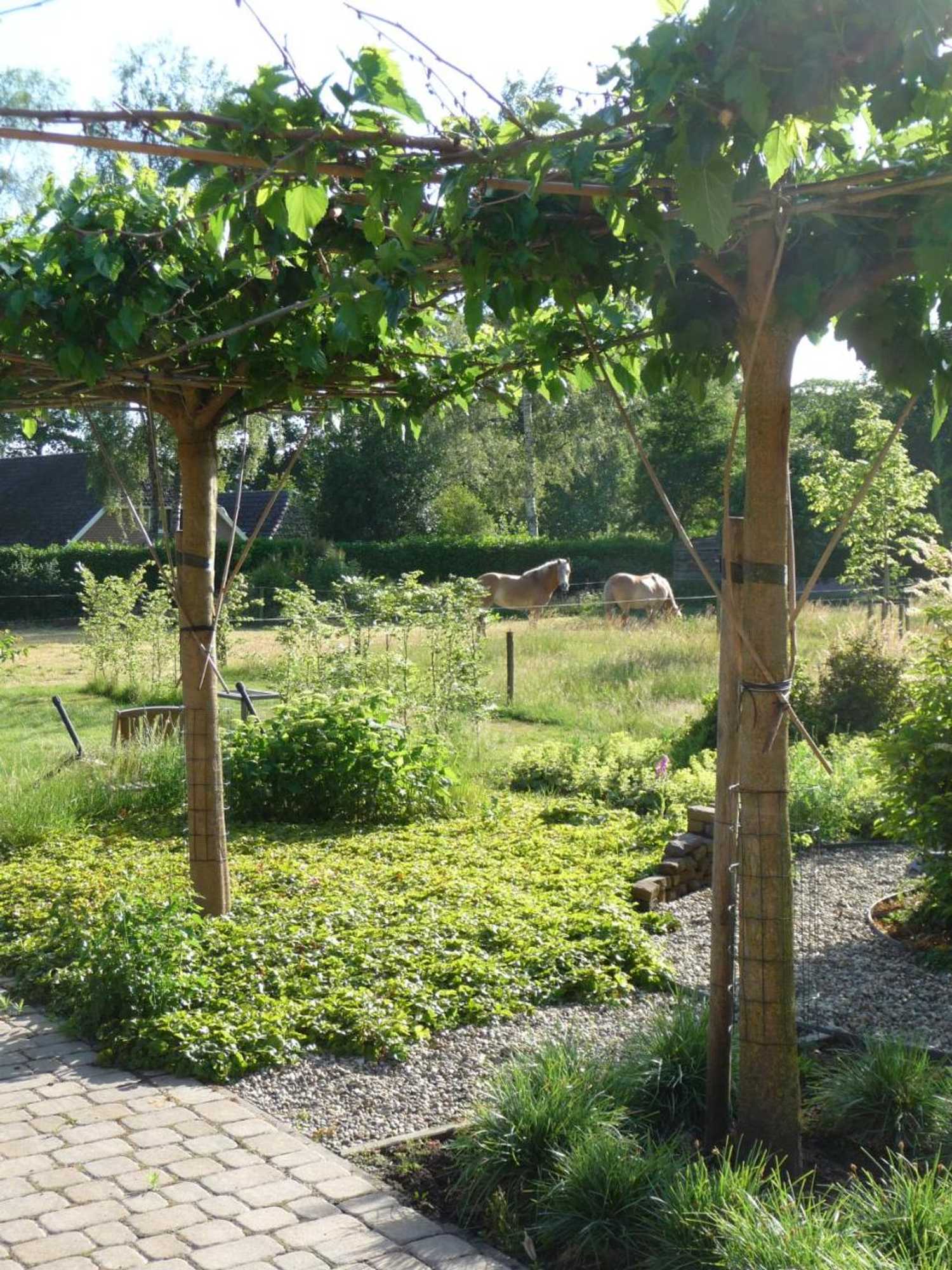 Gift card for B&b Achterhoeks Halle