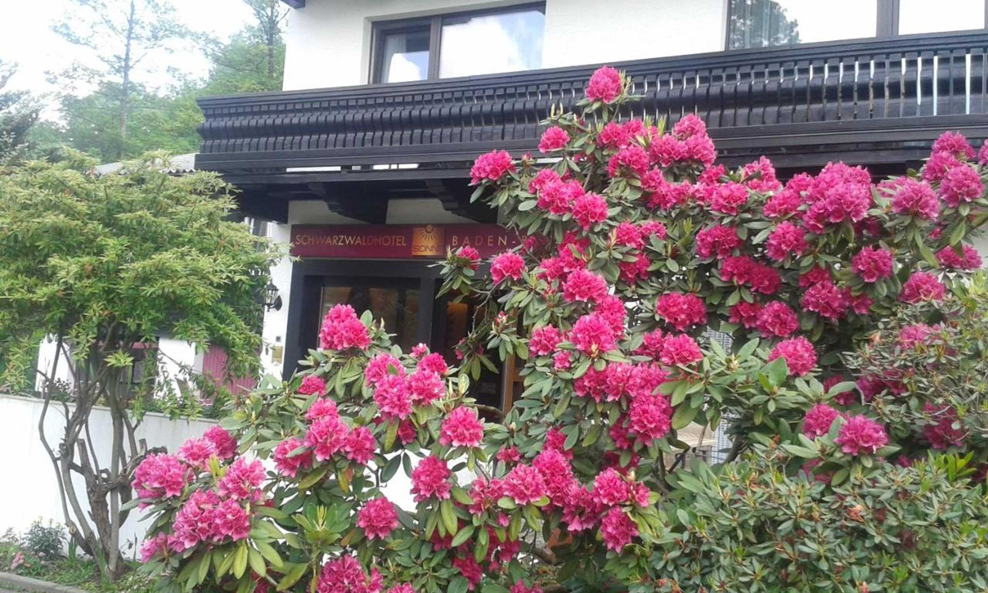 Gift card for Schwarzwaldhotel Sonne