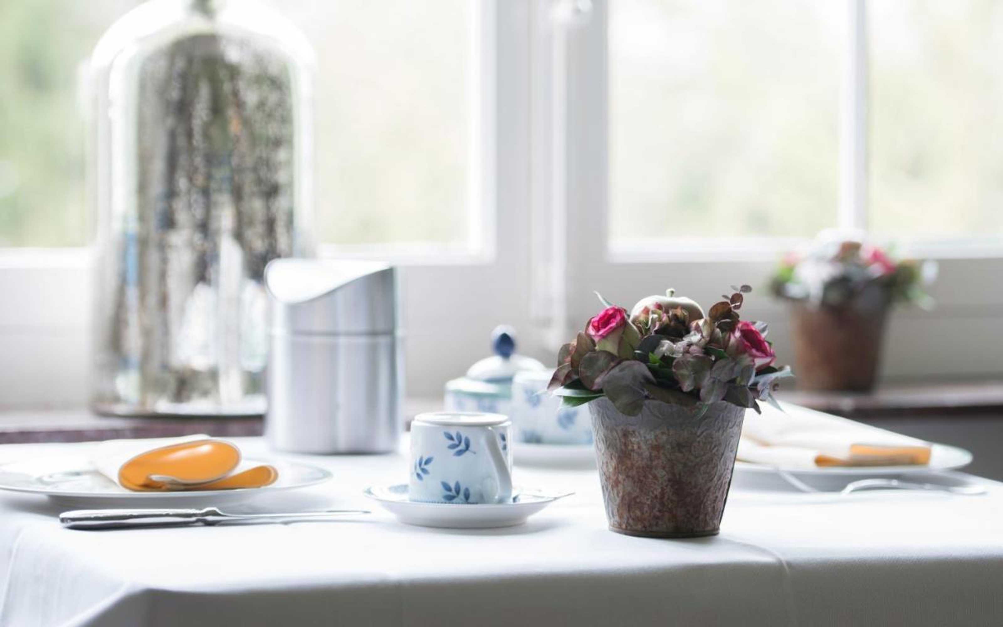 Gift card for Hotel Hippocampus