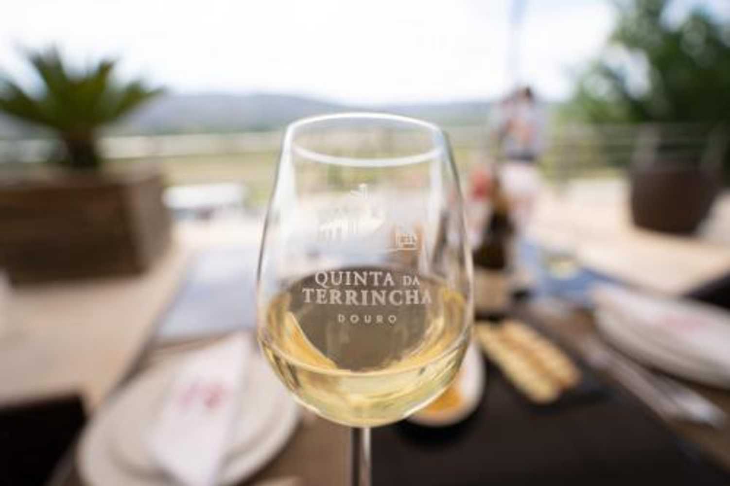Gift card for Quinta da Terrincha