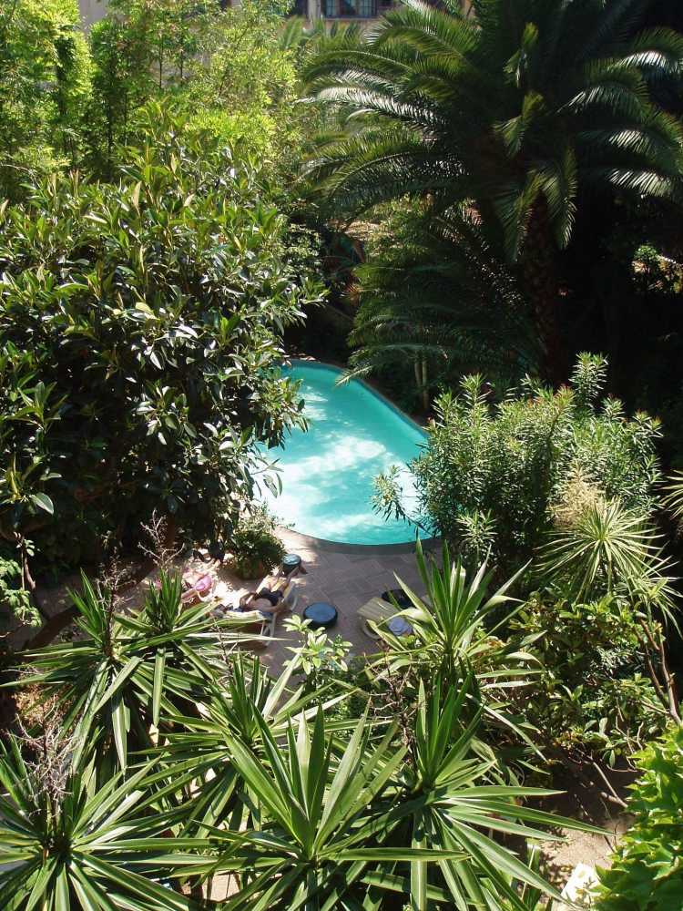 Gift card for Le Windsor, Jungle Art Hotel Gift card for Le Windsor, Jungle Art Hotel