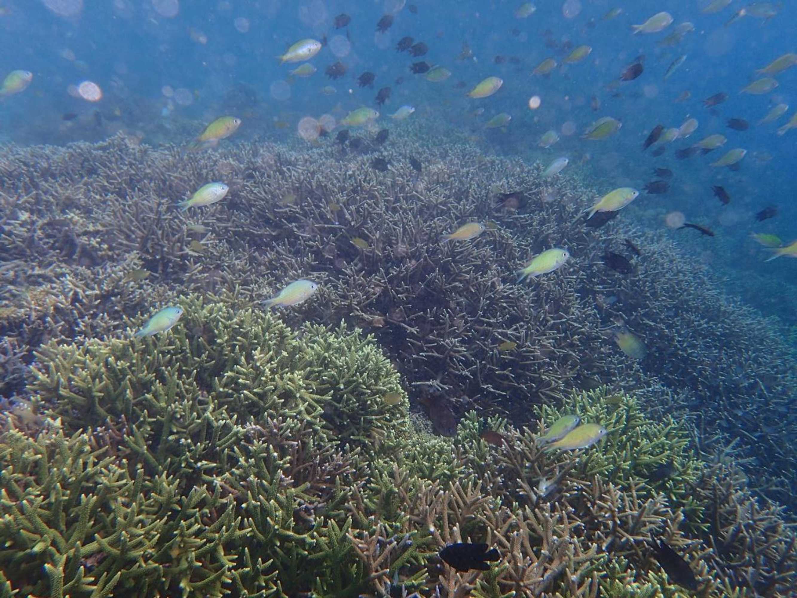 Gift card for Bidara Cottage