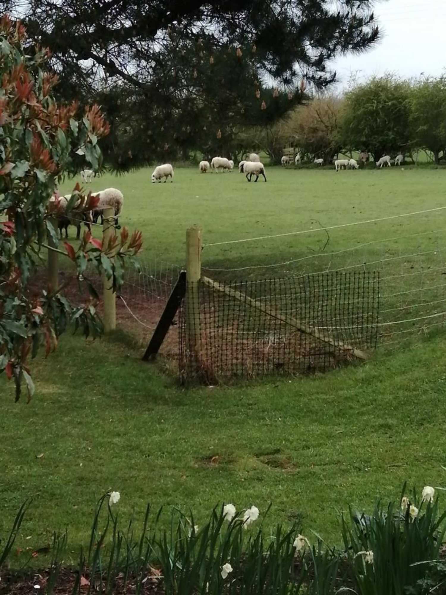 Gift card for Risley Hall Hotel