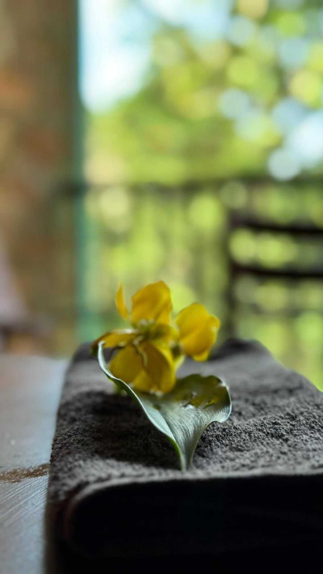 Gift card for Laluna Eco Resort Pvt Ltd Gift card for Laluna Eco Resort Pvt Ltd