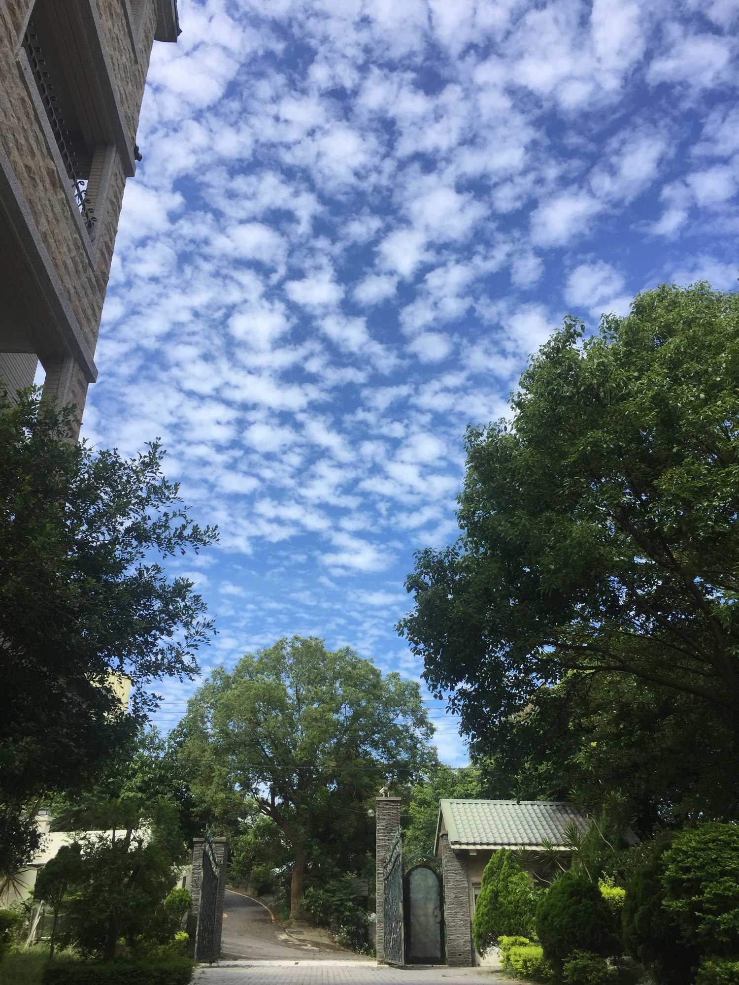 Gift card for Dan Dan House