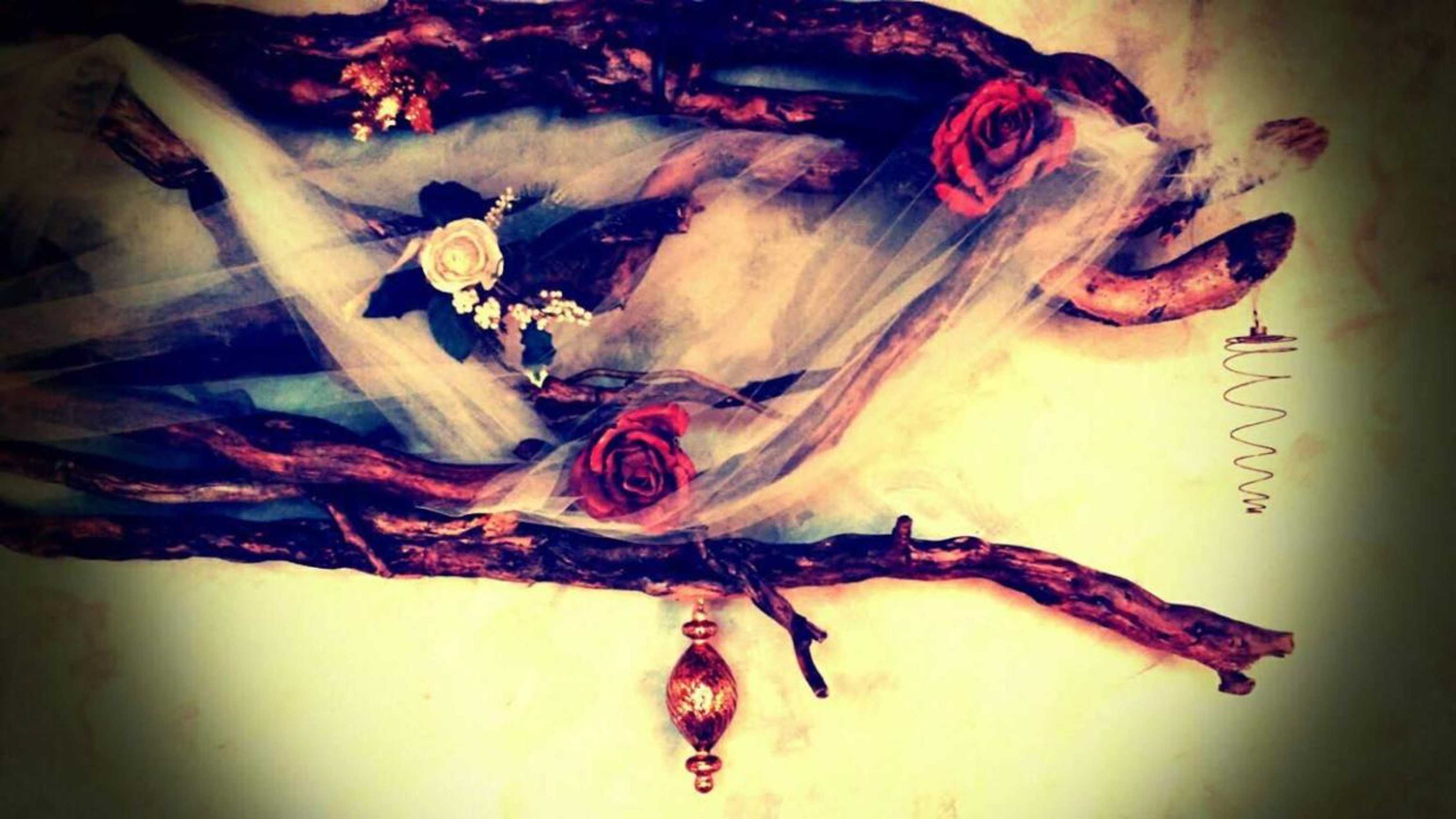 Gift card for Corte di Maggio B&b