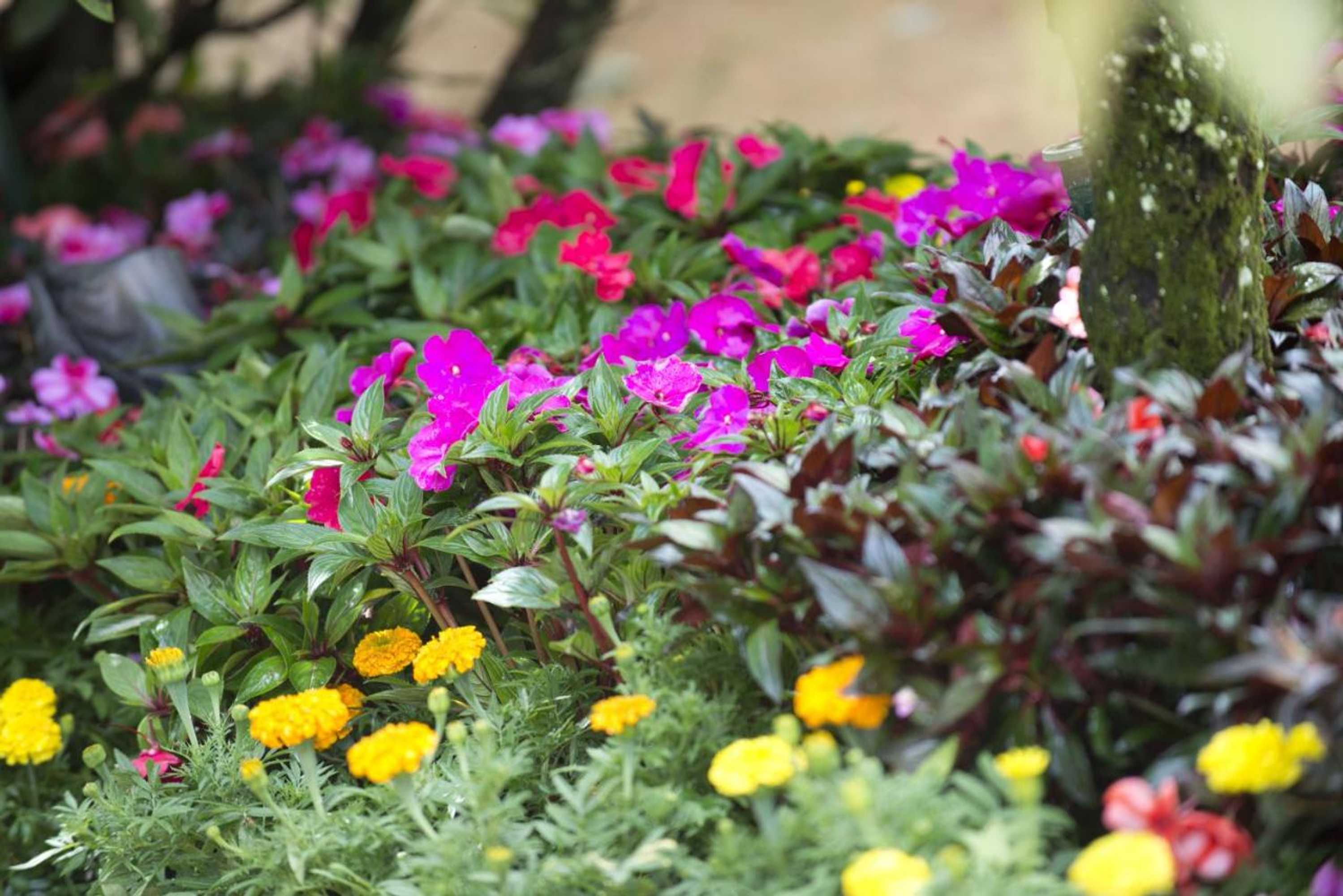 Gift card for Quinta de Valverde