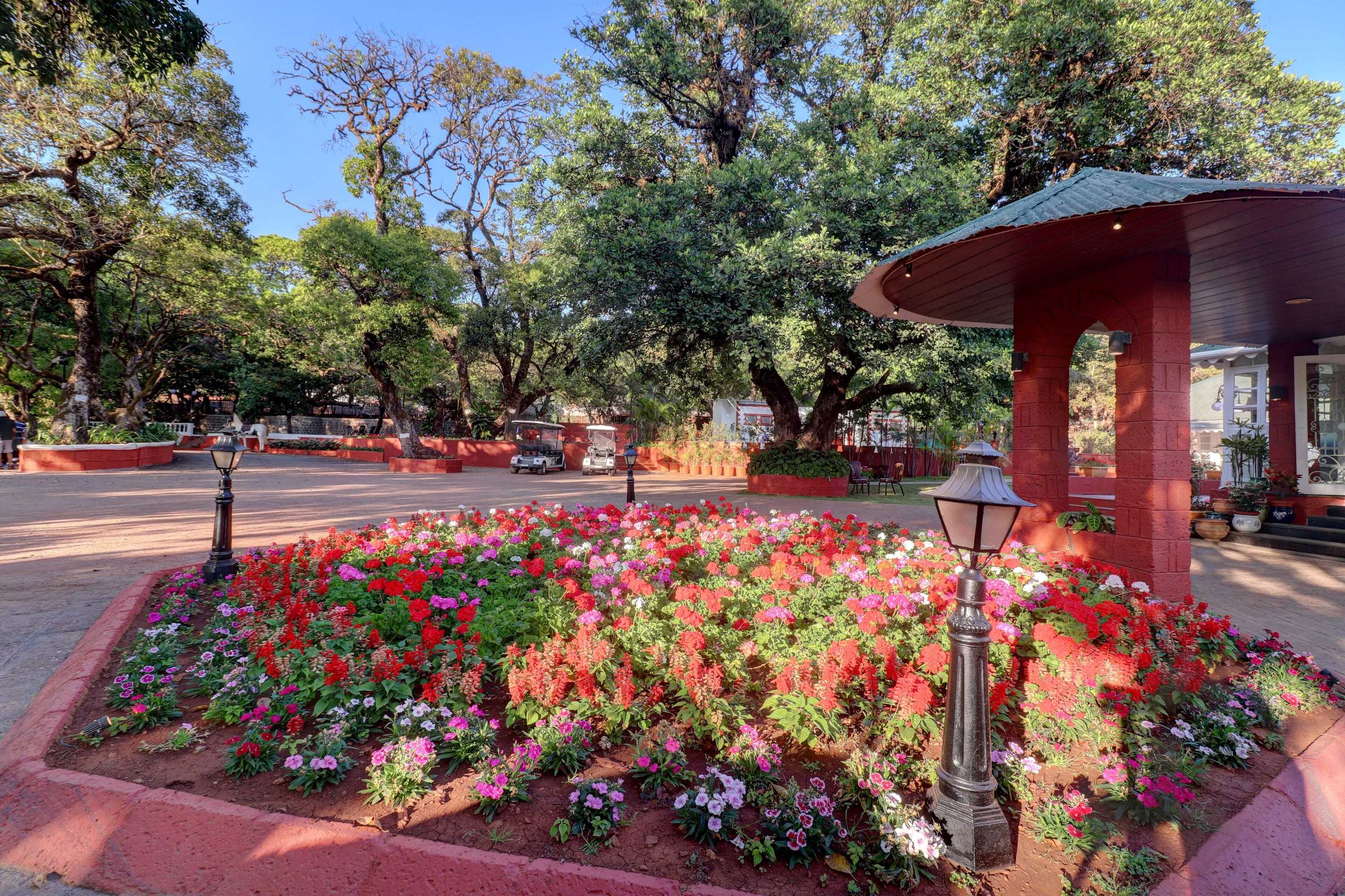 Gift card for Citrus Chambers Mahabaleshwar