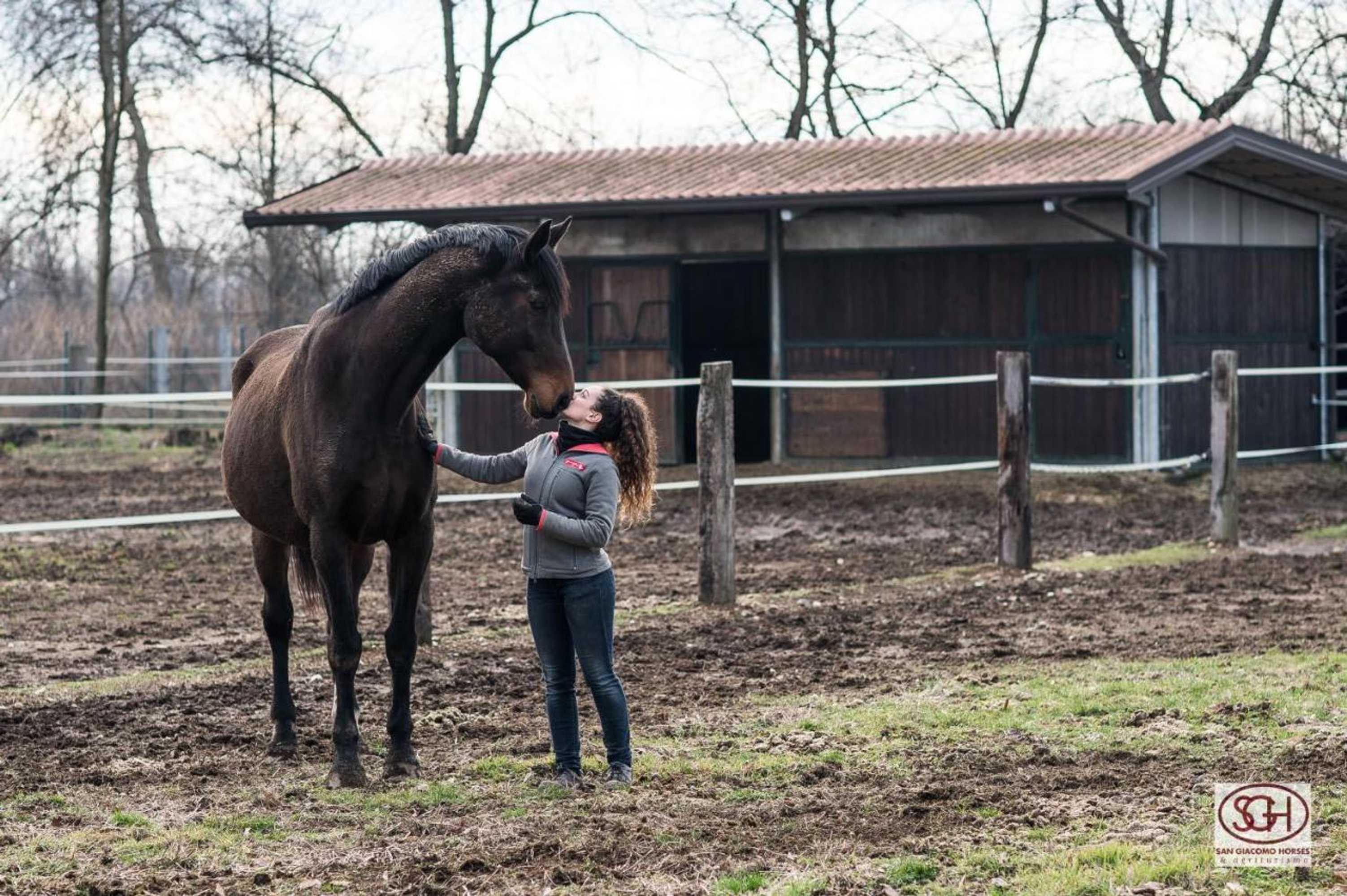 Gift card for San Giacomo Horses & Agriturismo Gift card for San Giacomo Horses & Agriturismo