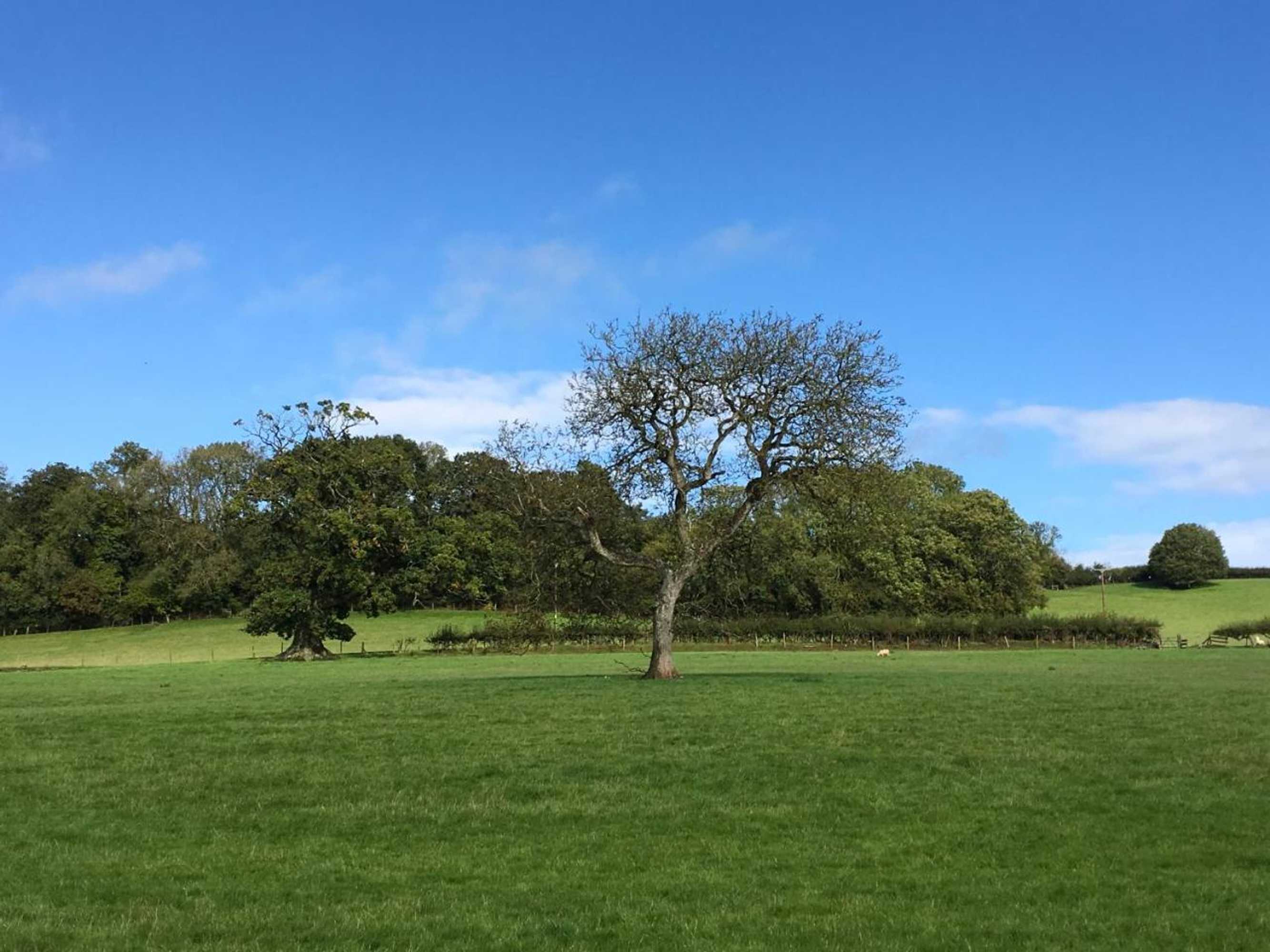 Gift card for Beryl Country House