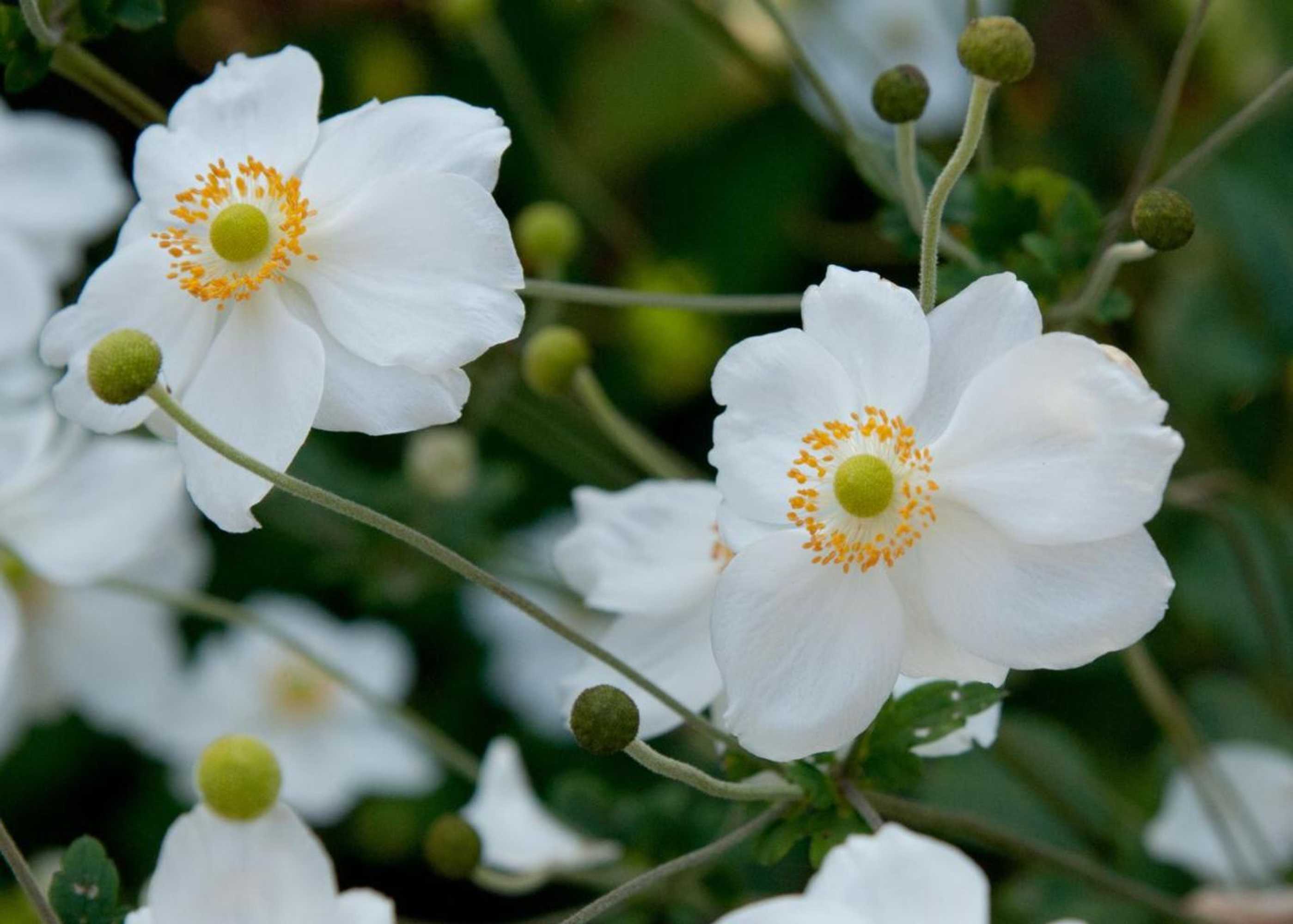 Gift card for Bed And Breakfast De Violier