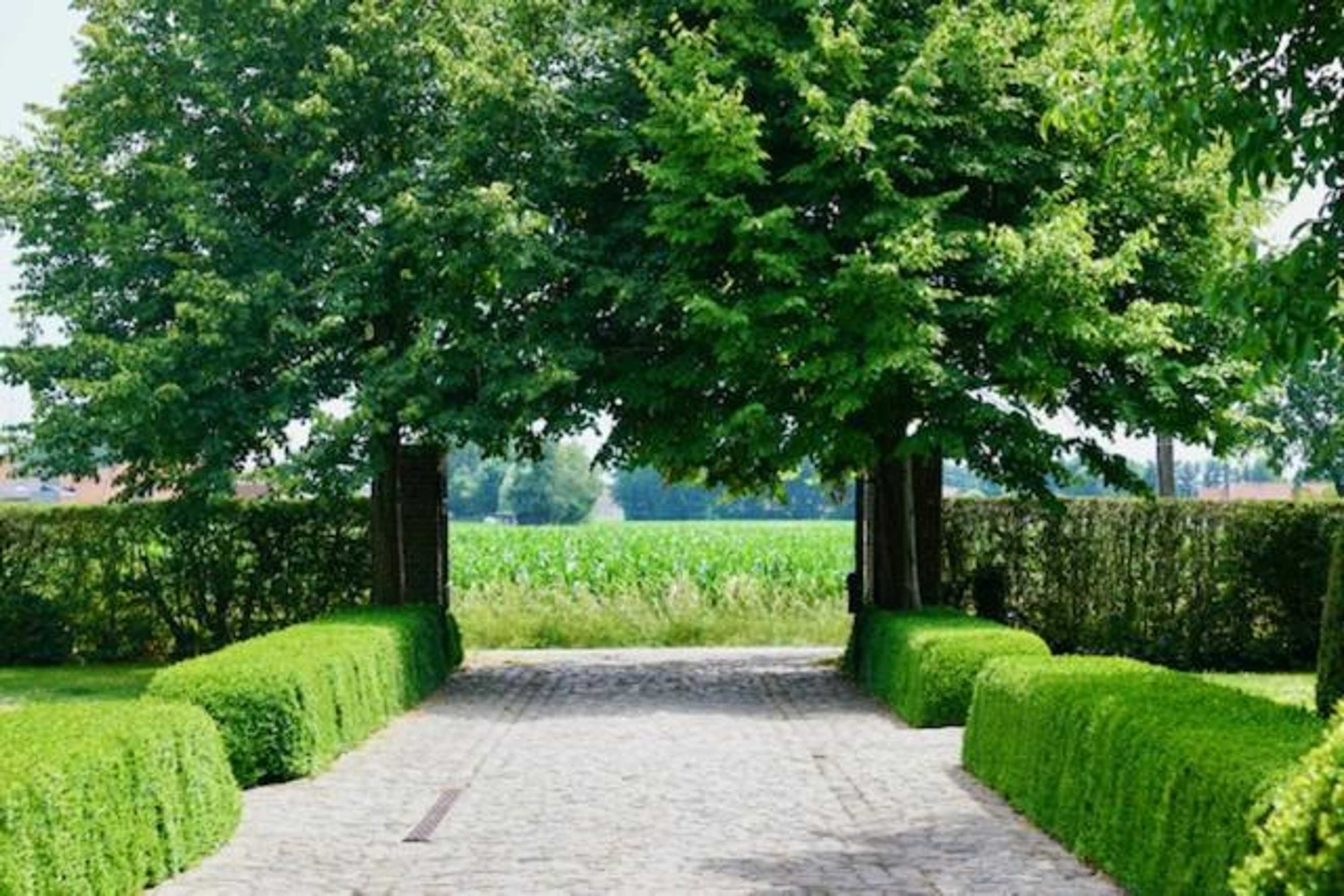 Gift card for B&b De Hulst