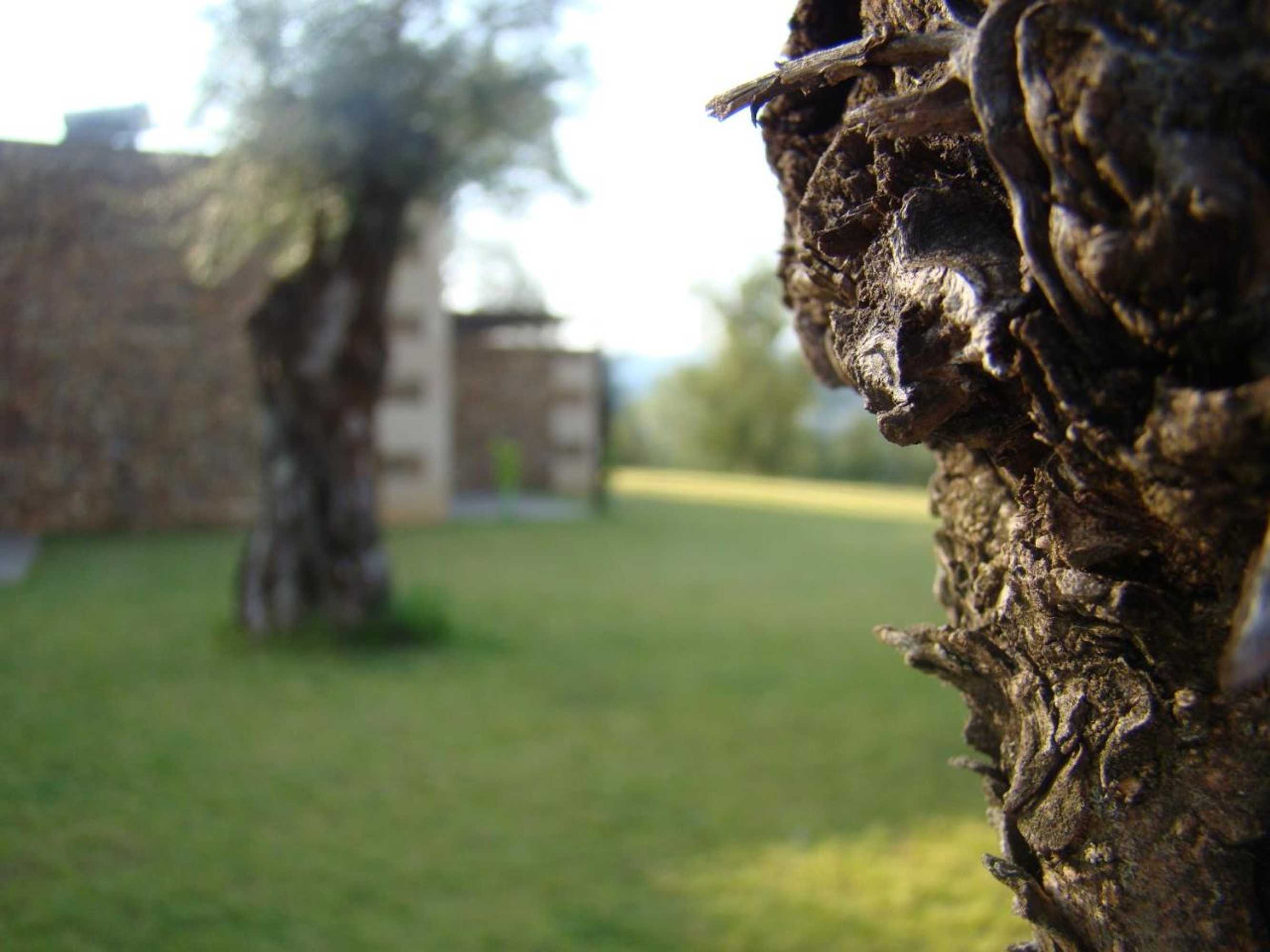 Gift card for Bosque da Harmonia