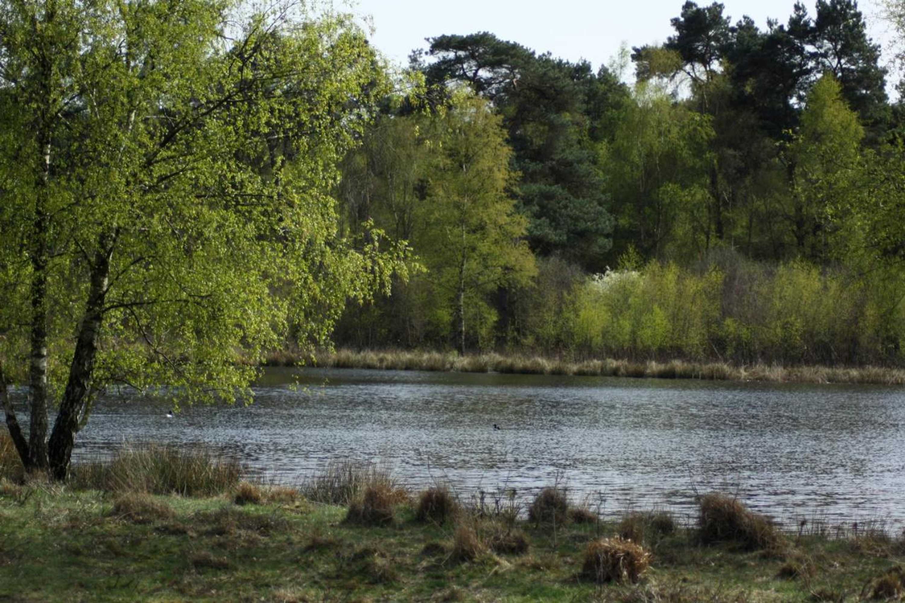 Gift card for Logies Angelbeeck