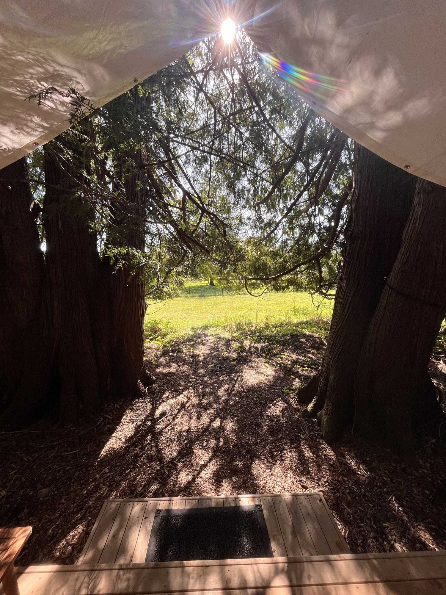 Gift card for Lopez Farm Cottages & Tent Camping Gift card for Lopez Farm Cottages & Tent Camping