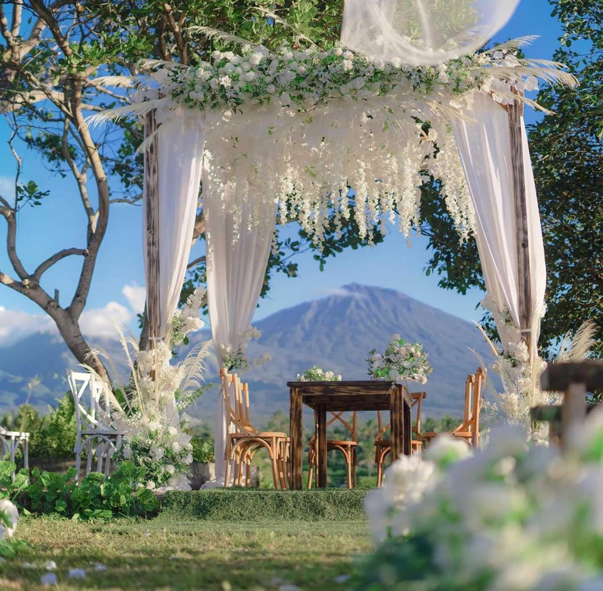 Gift card for Aranka Tempasan