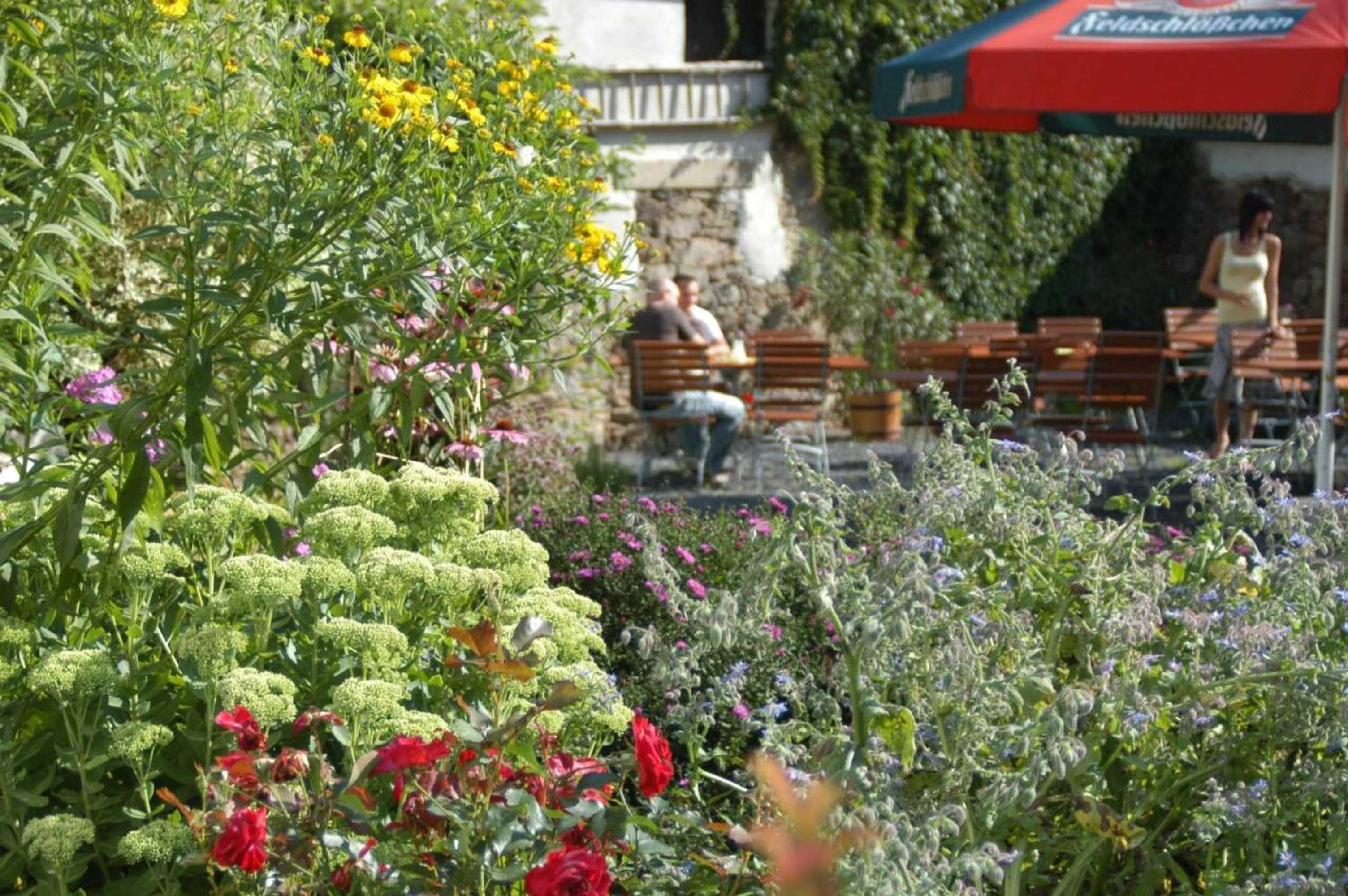 Gift card for Pension Zum Hirsch