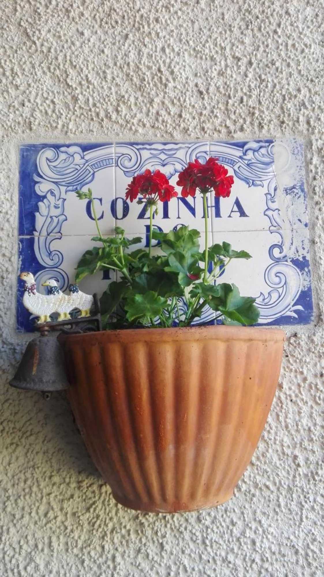 Gift card for Vila Delfina