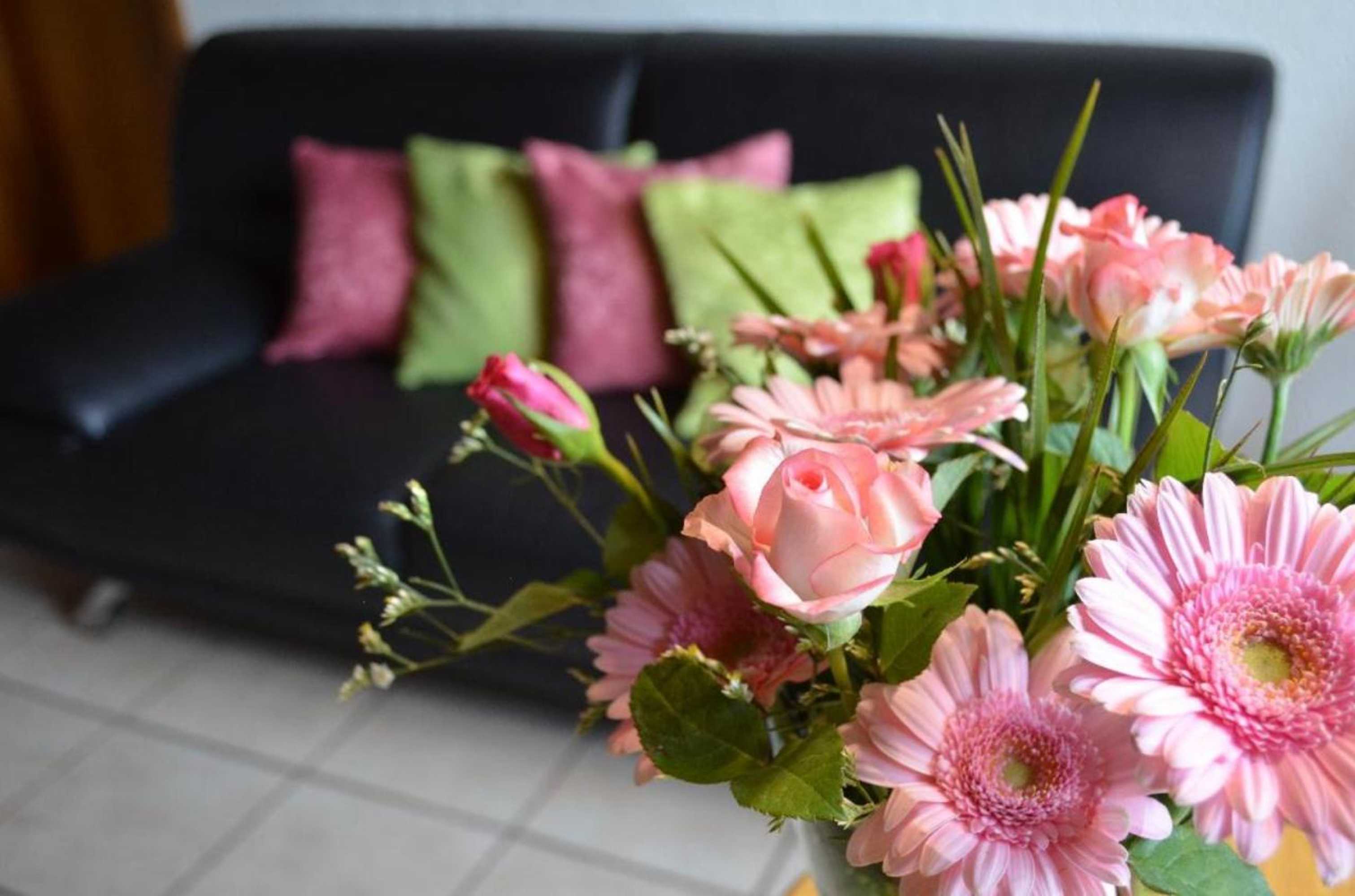 Gift card for Bio-Erlebnisbauernhof Doll