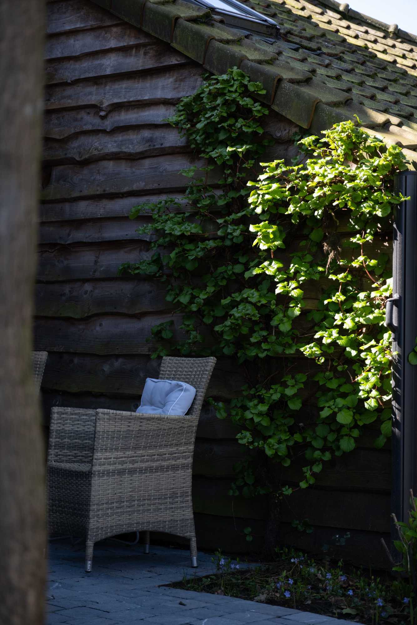 Gift card for B&b De Joker