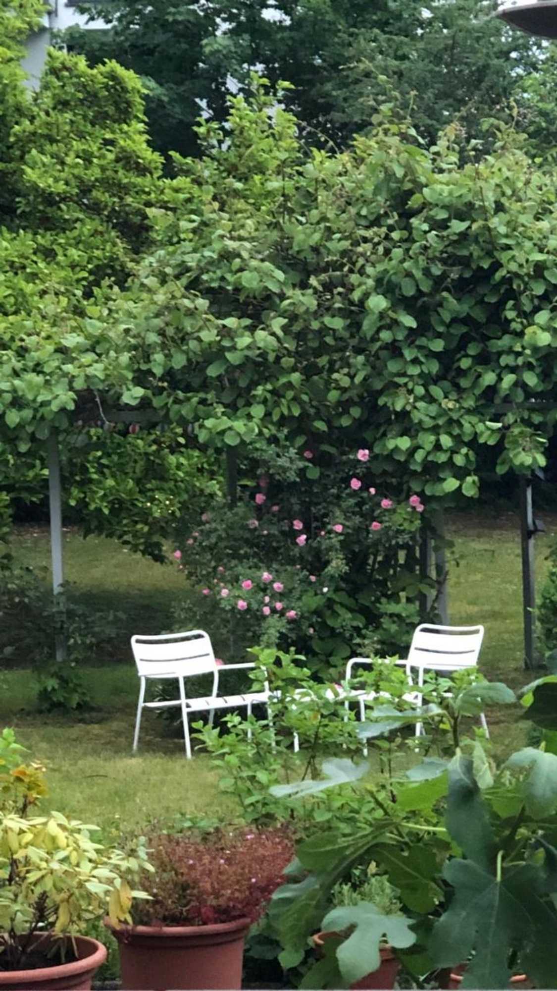 Gift card for Villa Zur Erholung Bed & Breakfast