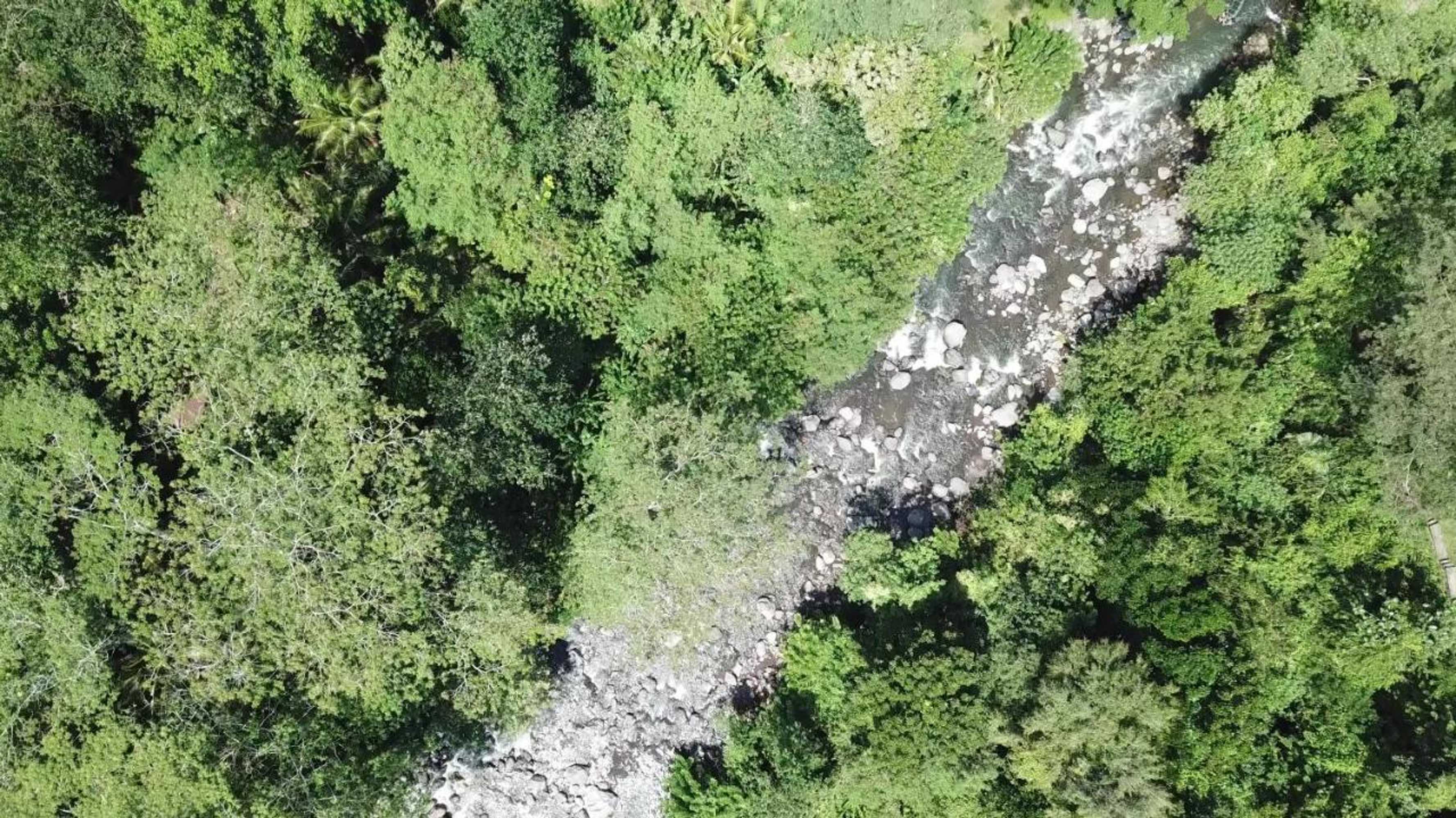 Gift card for Griya Valud