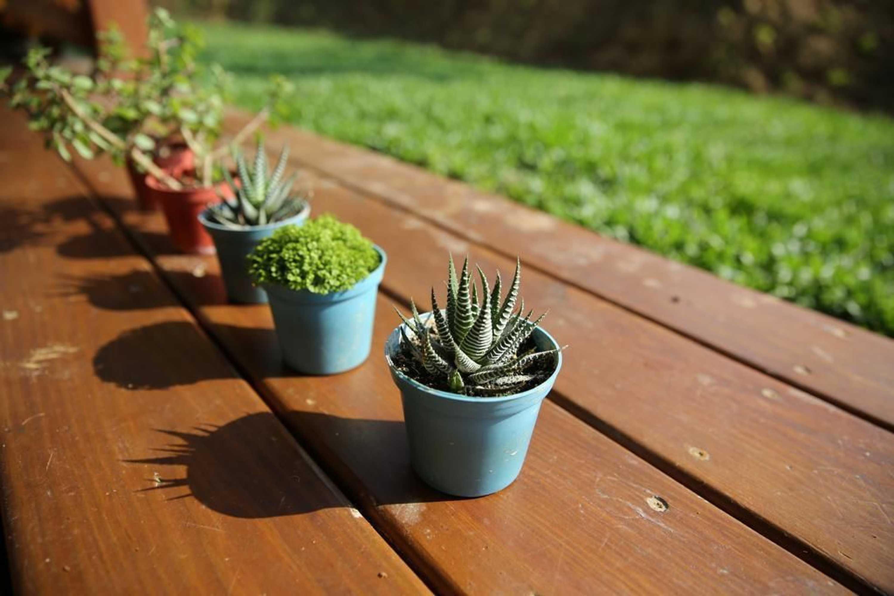 Gift card for I Sky Villa