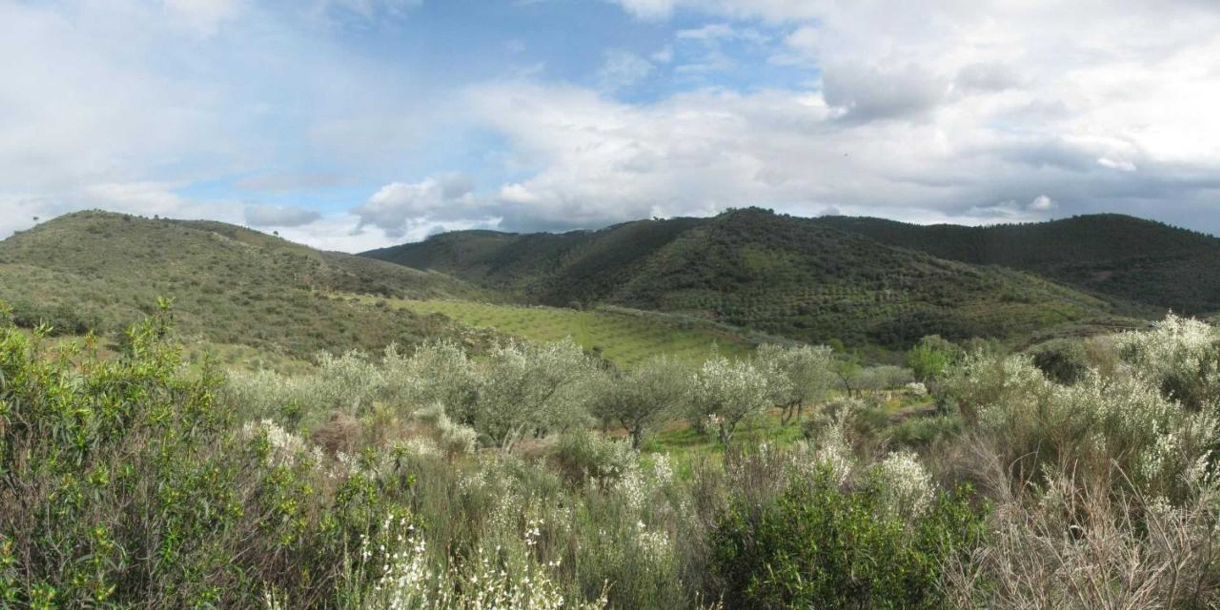 Gift card for Quinta Dos Baldo