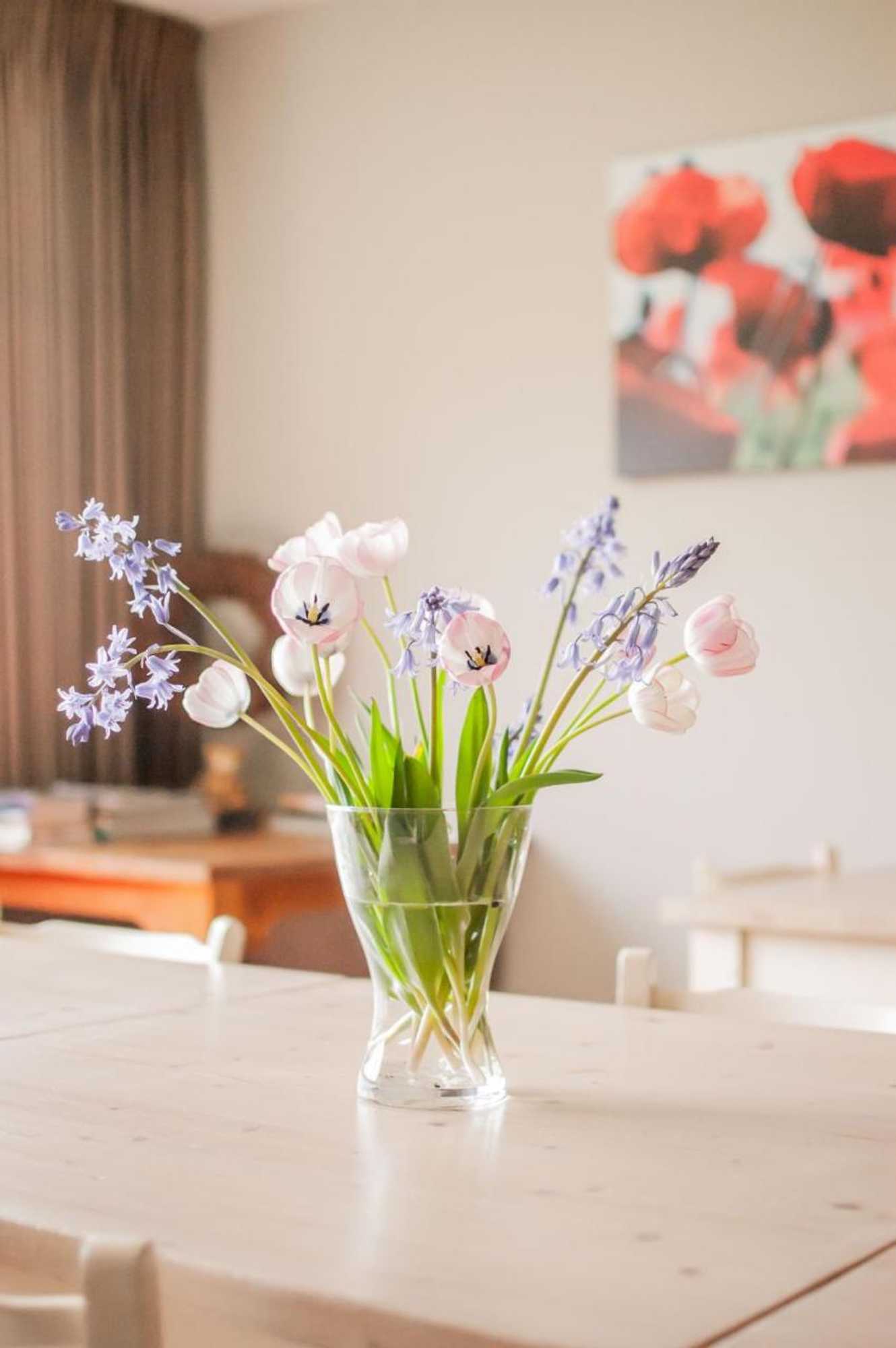 Gift card for B&b Tuin Der Zinnen