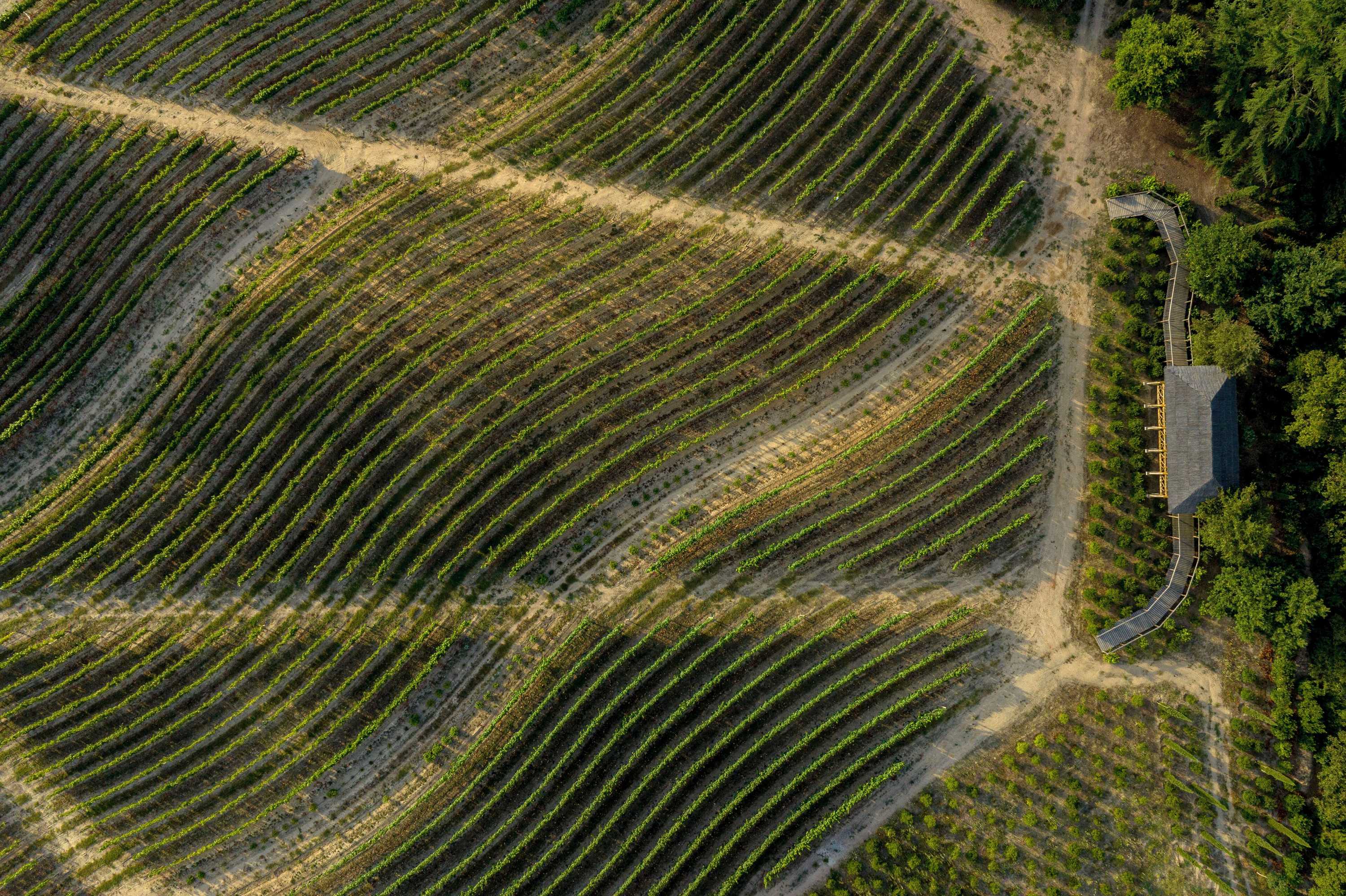 Gift card for Valverde Santar Hotel & Spa - Relais & Châteaux