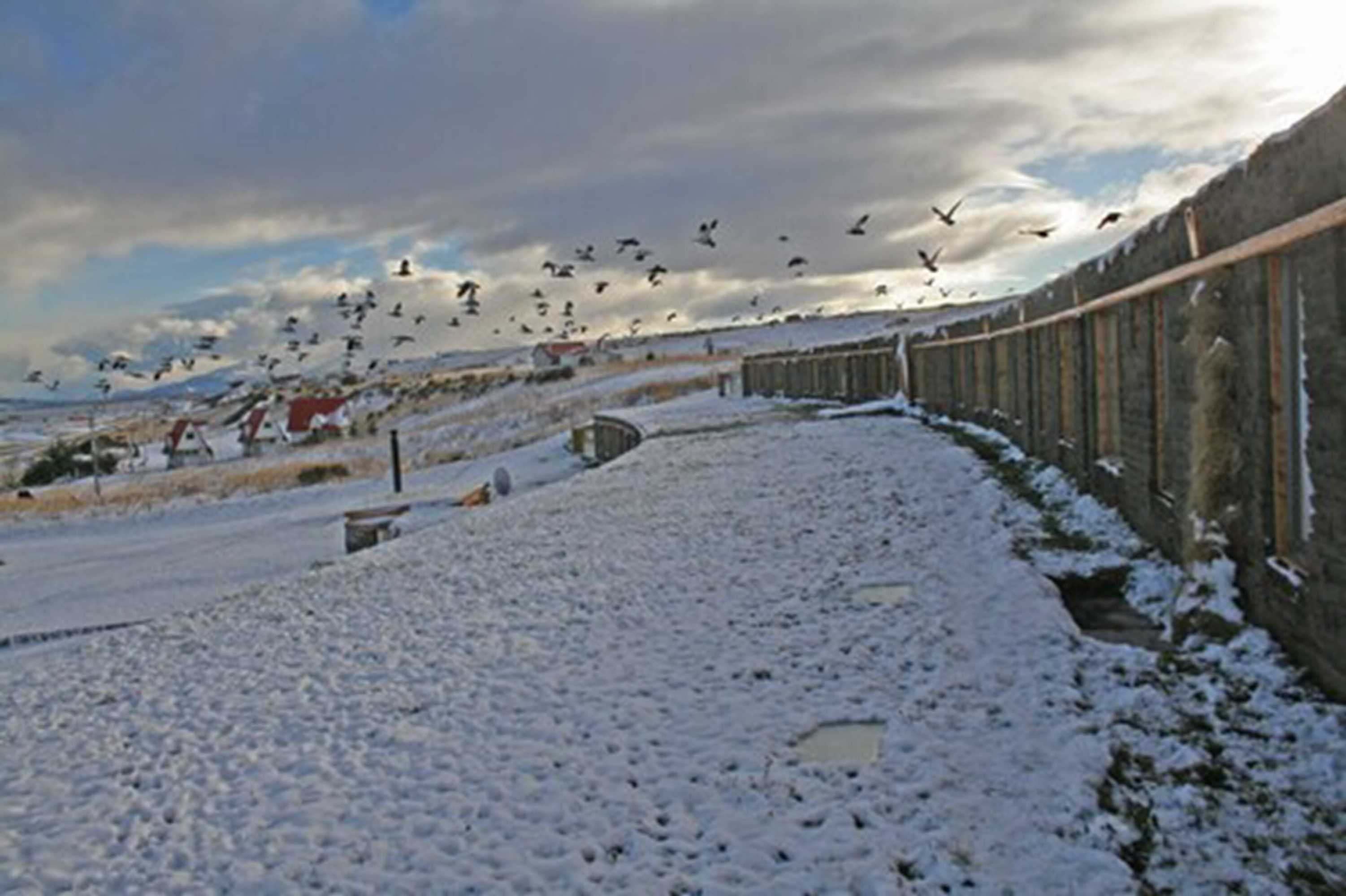 Gift card for Altiplanico Puerto Natales Gift card for Altiplanico Puerto Natales