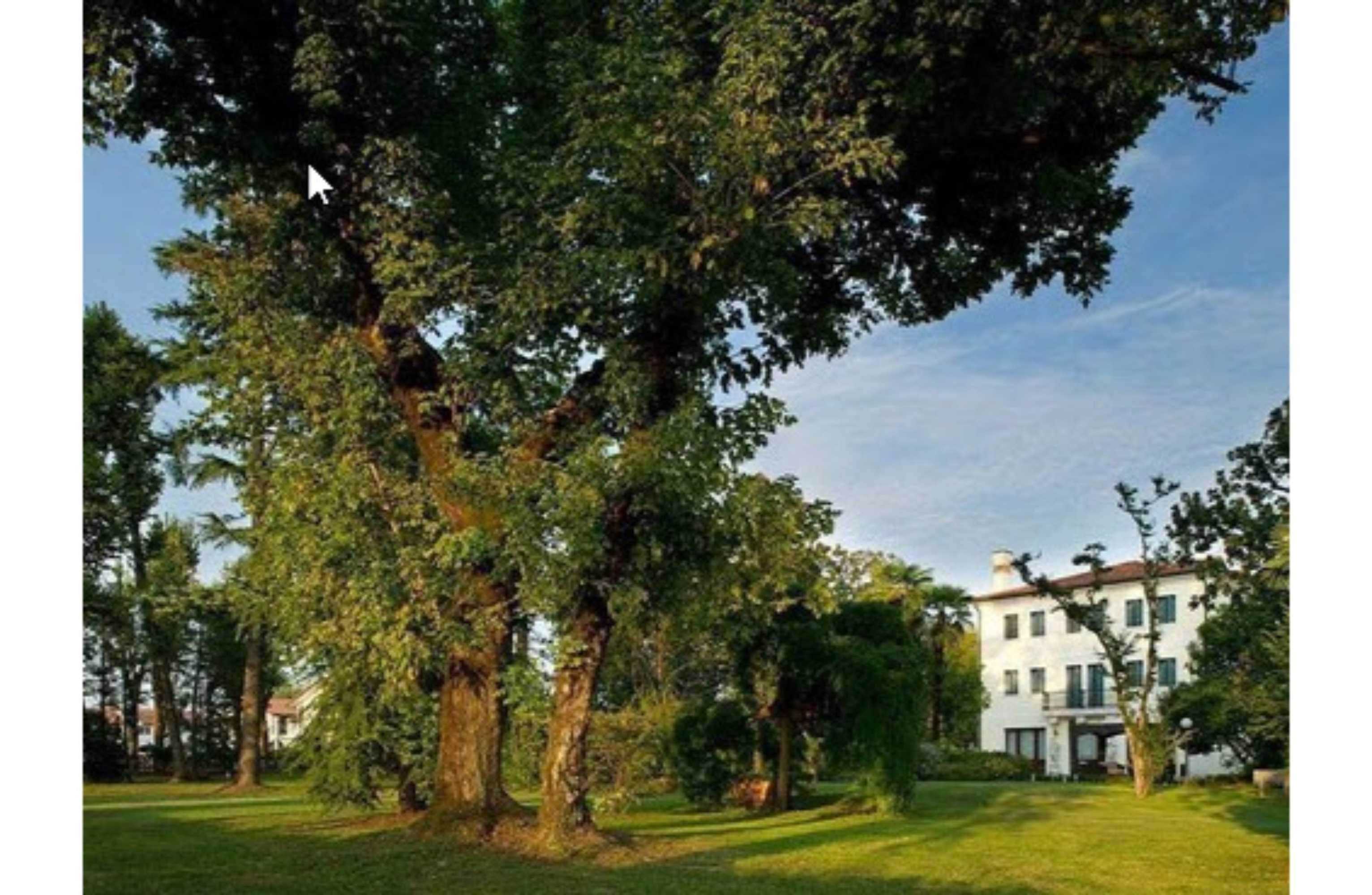 Gift card for Villa Pace Park Hotel Bolognese Gift card for Villa Pace Park Hotel Bolognese