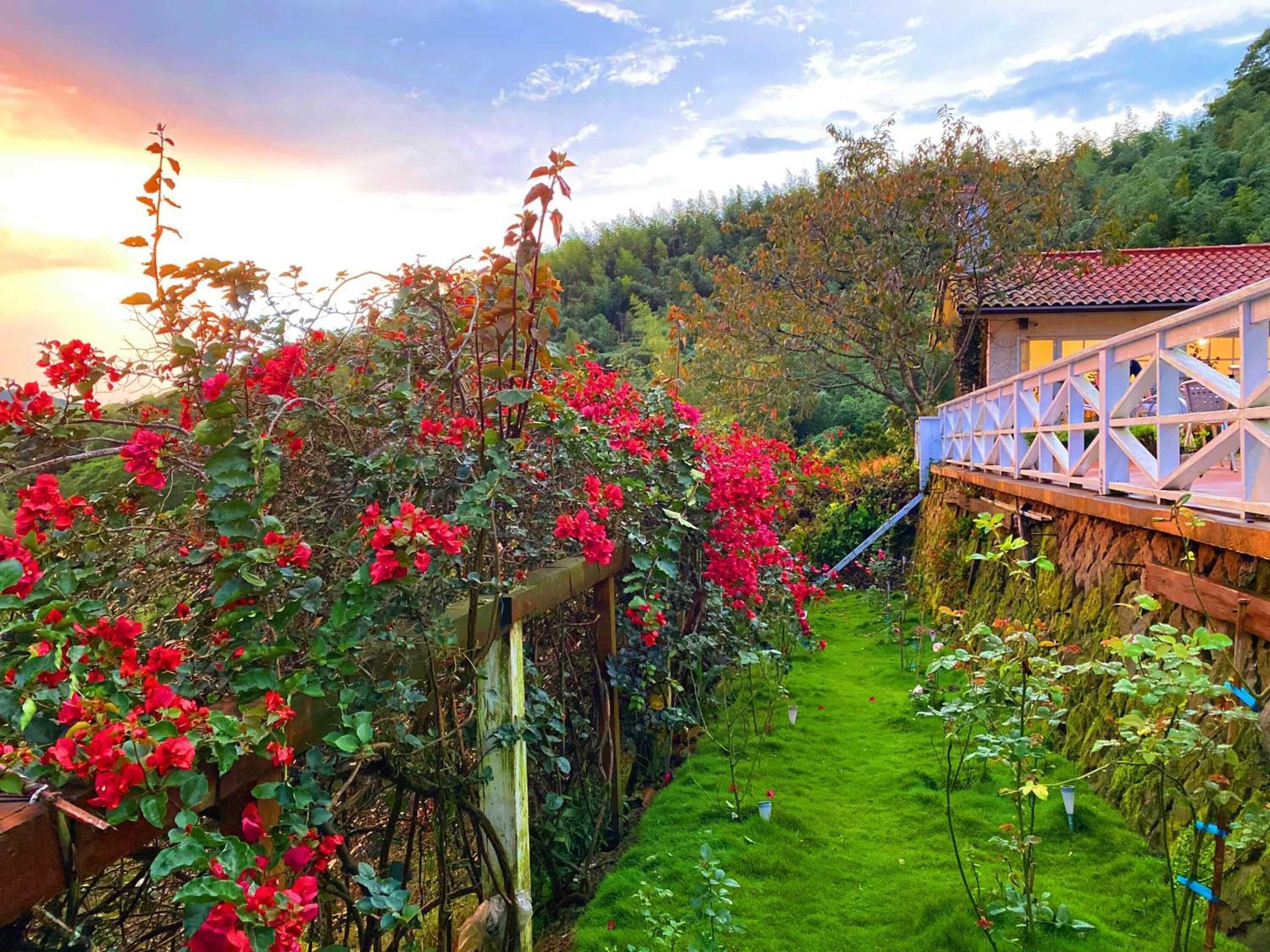 Gift card for Alishan Tea Garden Gift card for Alishan Tea Garden