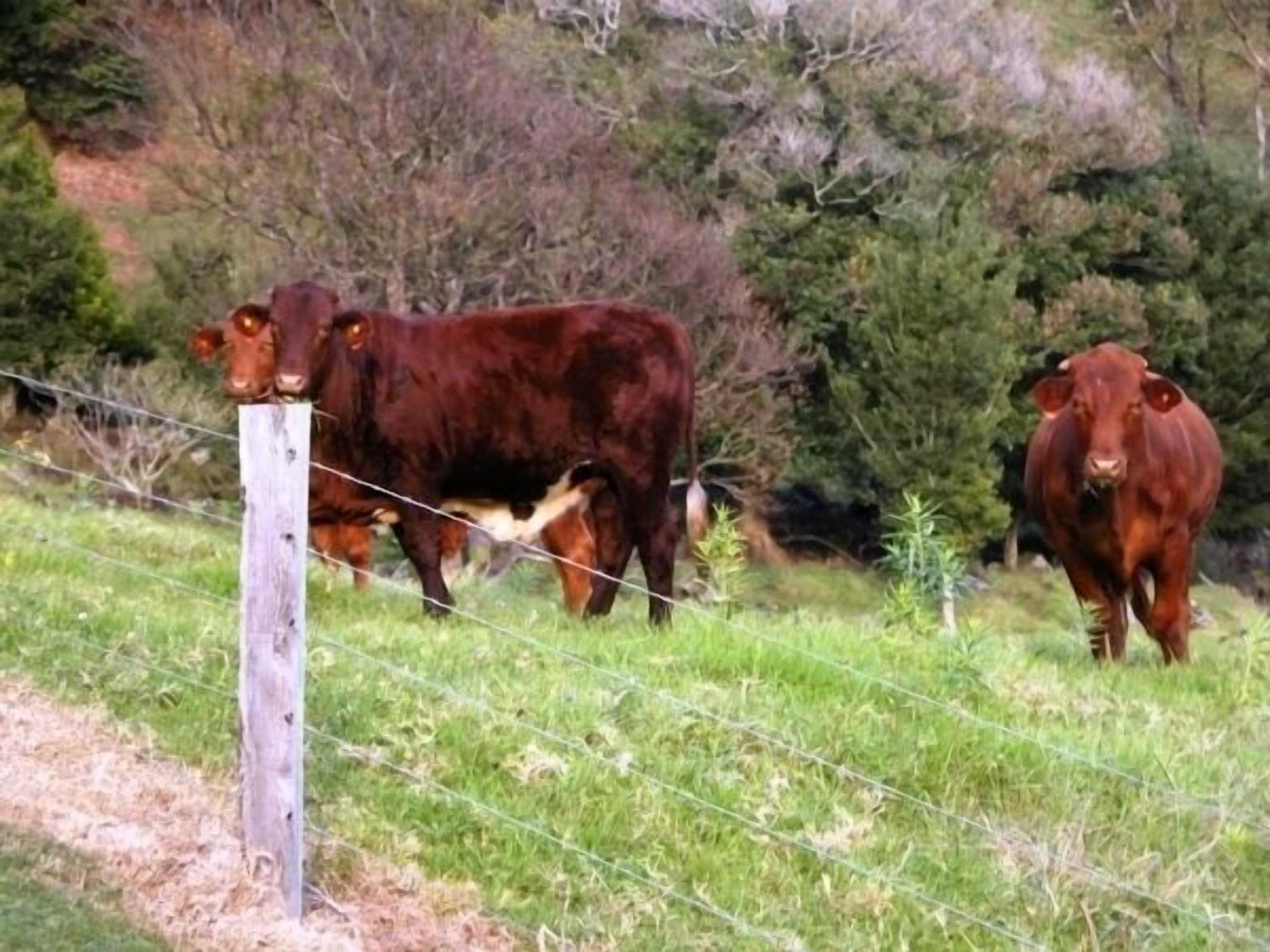 Gift card for Top of The Hill Gift card for Top of The Hill