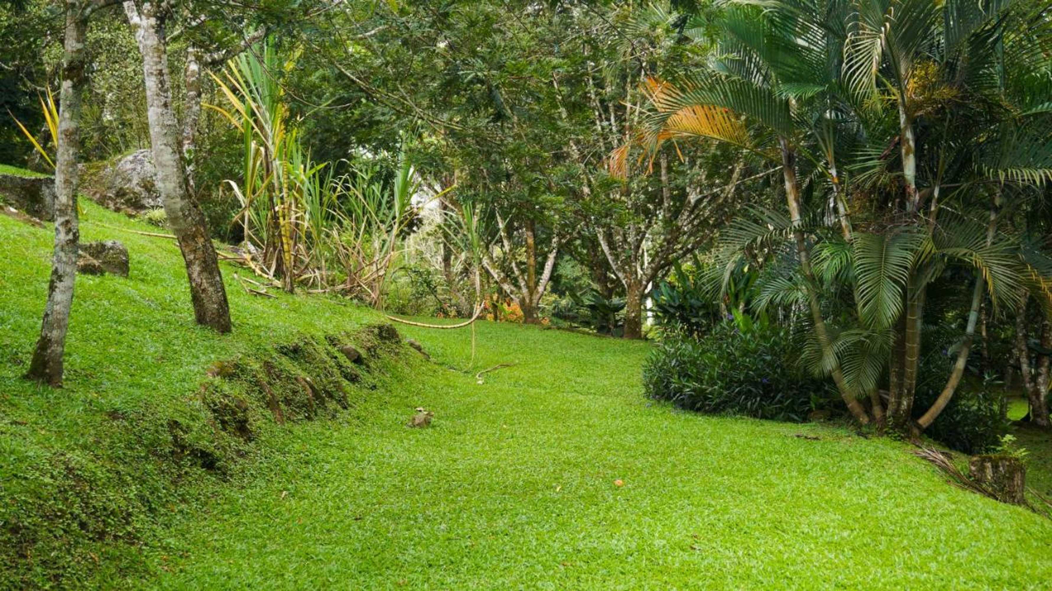 Gift card for Hospedaje La Naciente