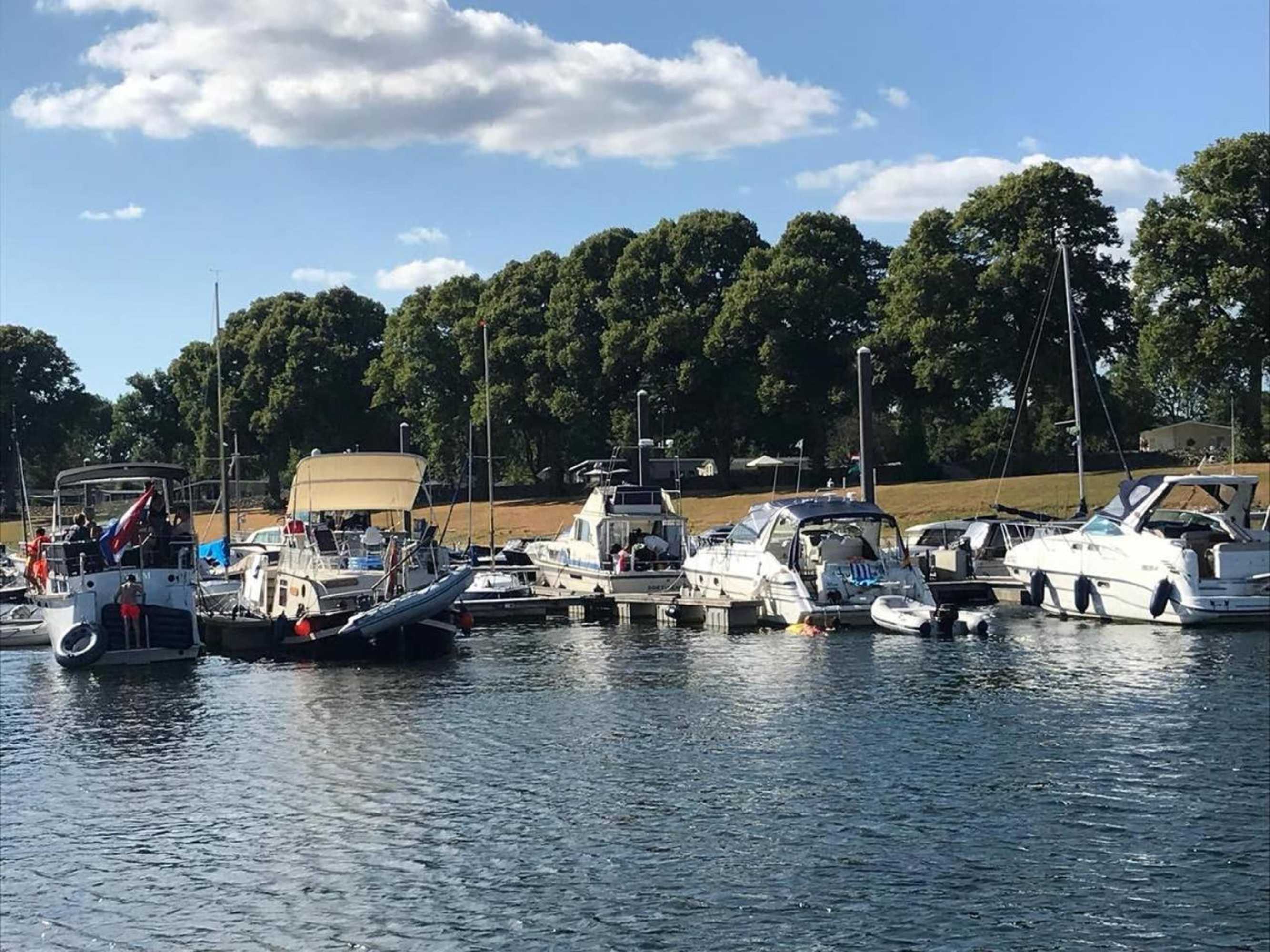 Gift card for Anvibe 1