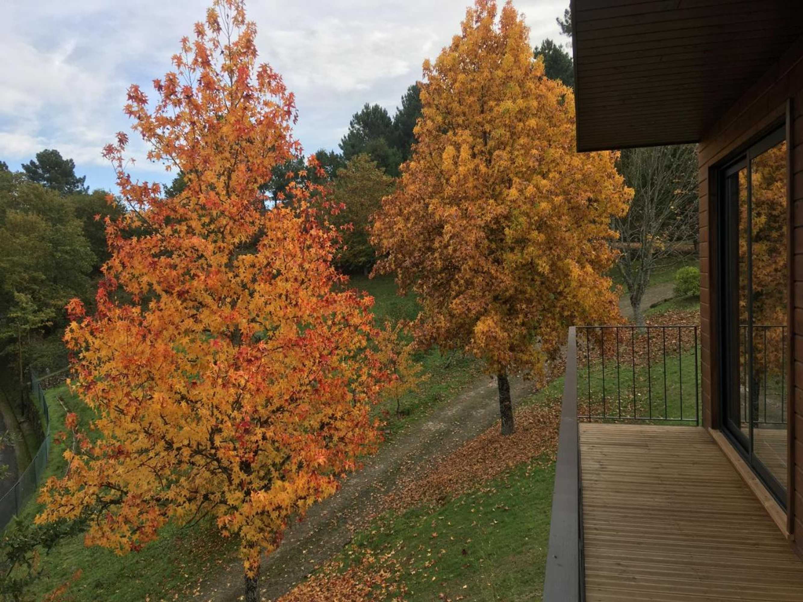 Gift card for Quinta de Silharezes, Lda