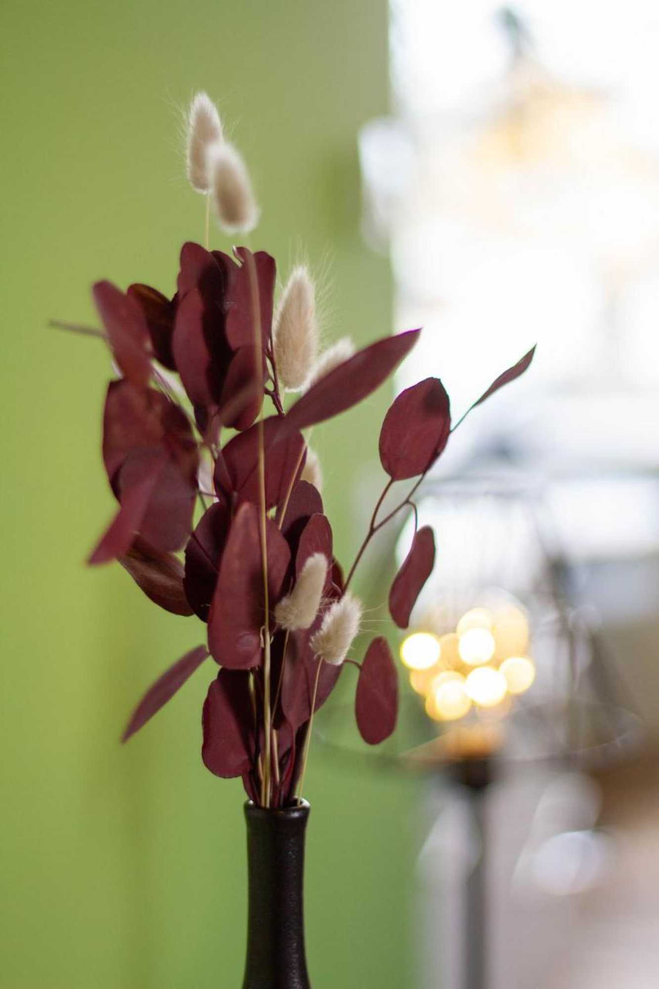 Gift card for Gohlke L.o.f.t. Apartments