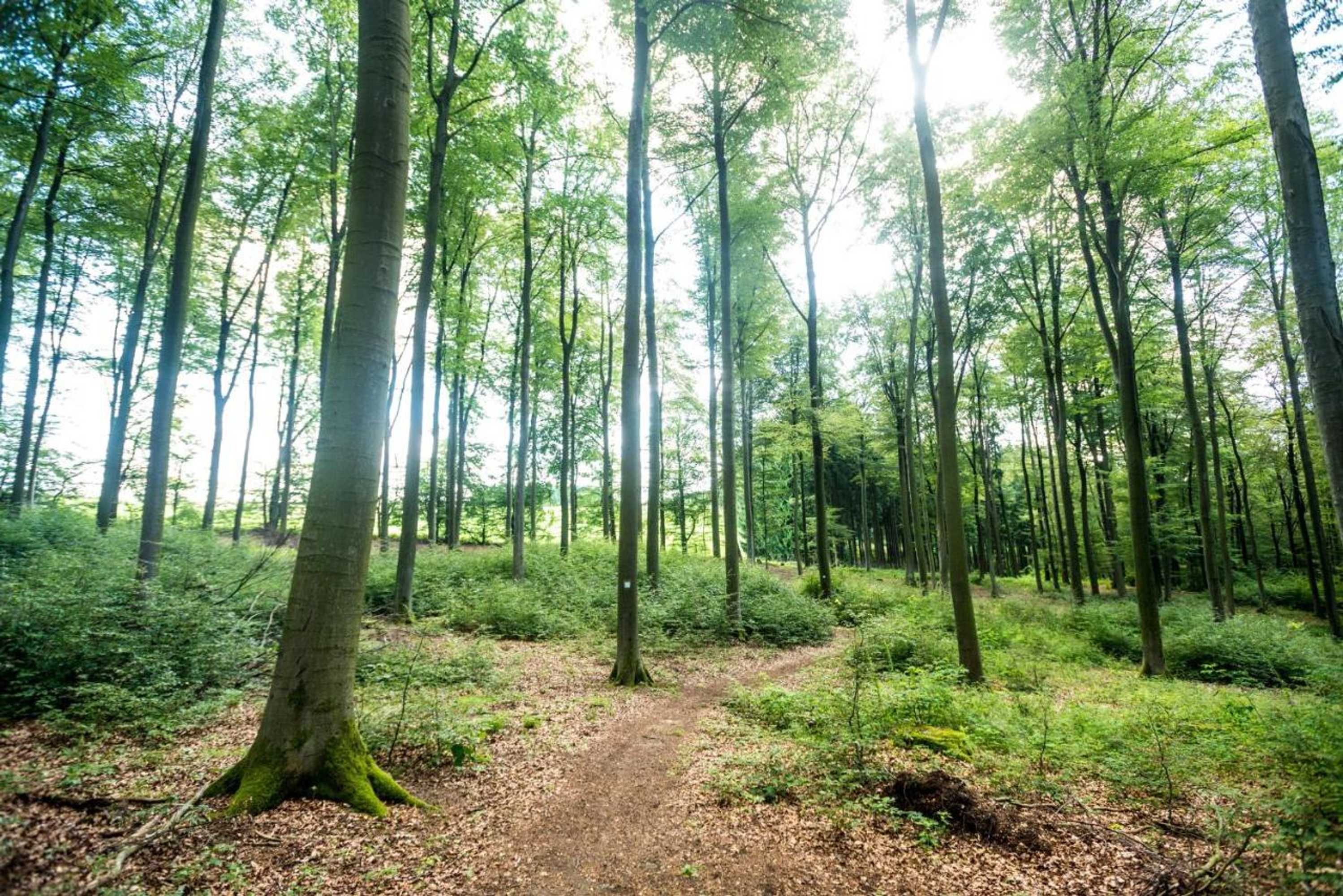 Gift card for Thalhauser Mühle Hotel-Restaurant