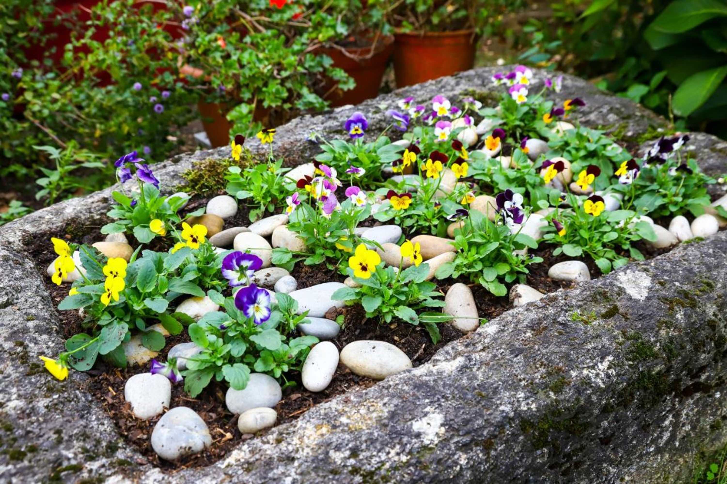 Gift card for Casa De Carcavelos Gift card for Casa De Carcavelos