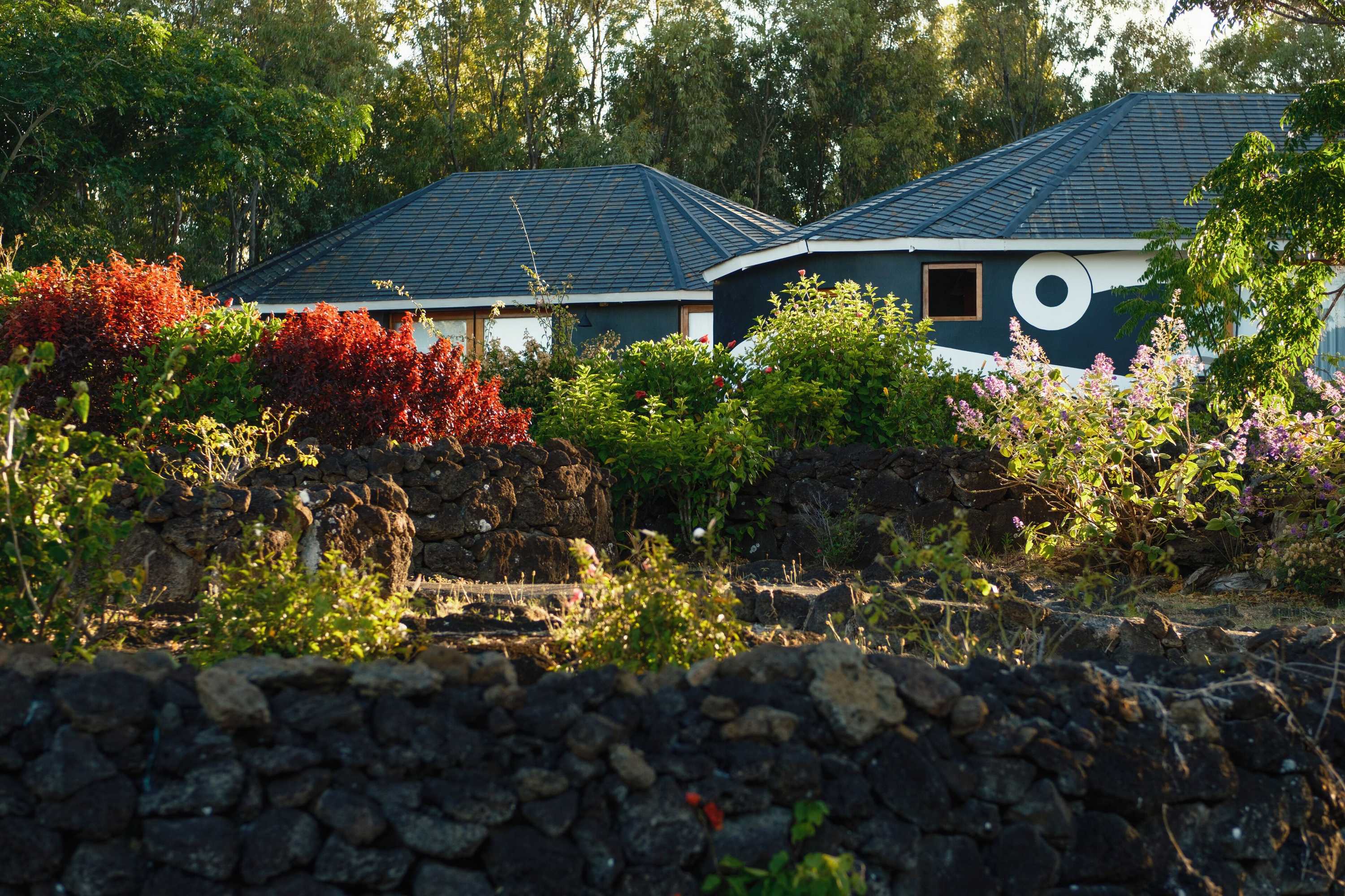 Gift card for Altiplanico Rapa Nui Gift card for Altiplanico Rapa Nui