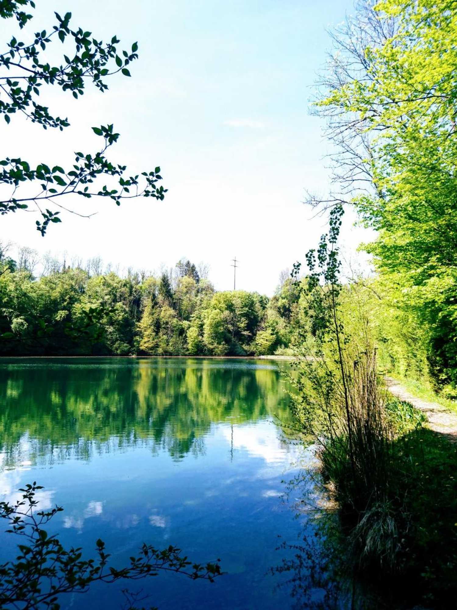 Gift card for Gasthaus Zum Ochsen